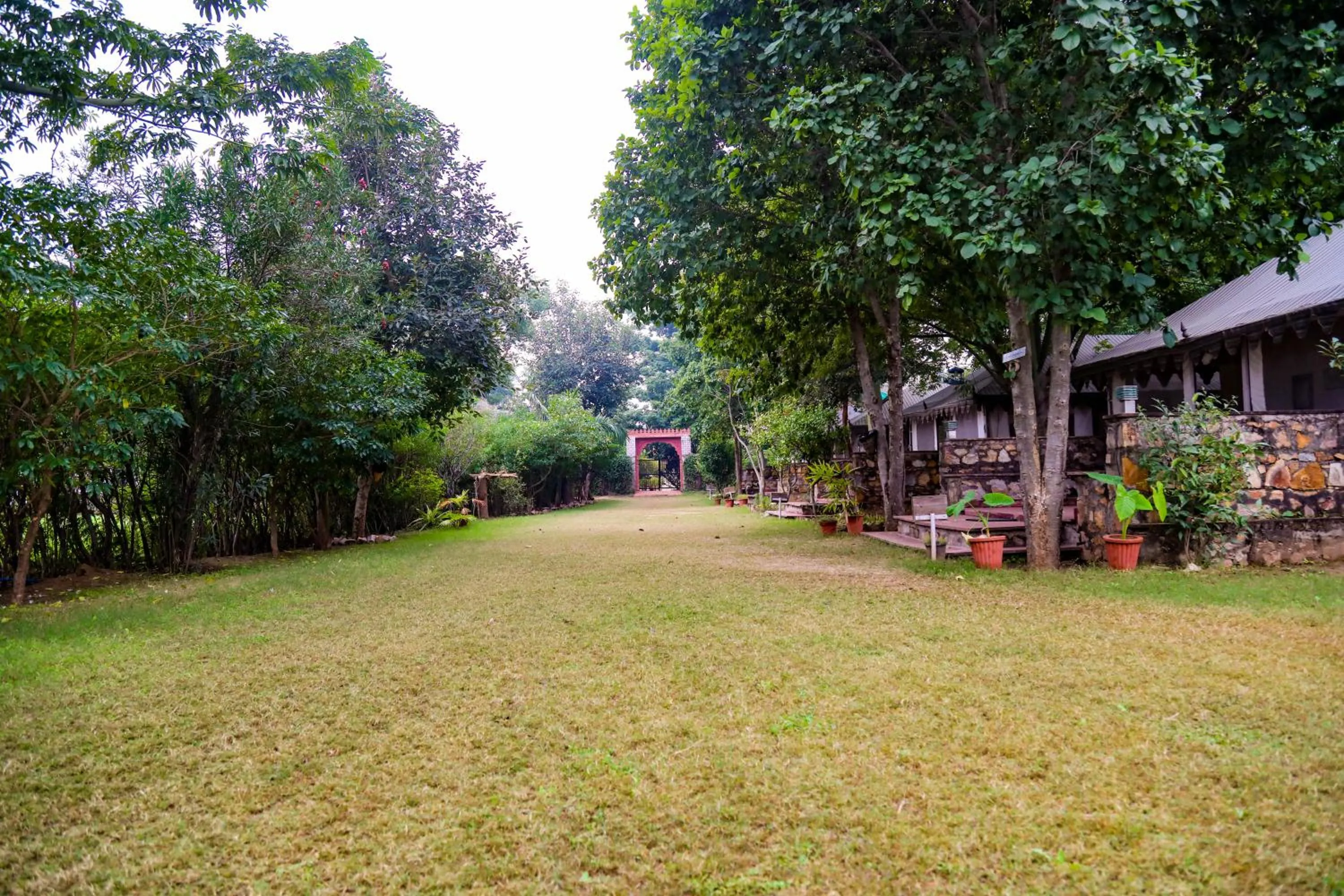 Garden in Maa Ashapura Resort