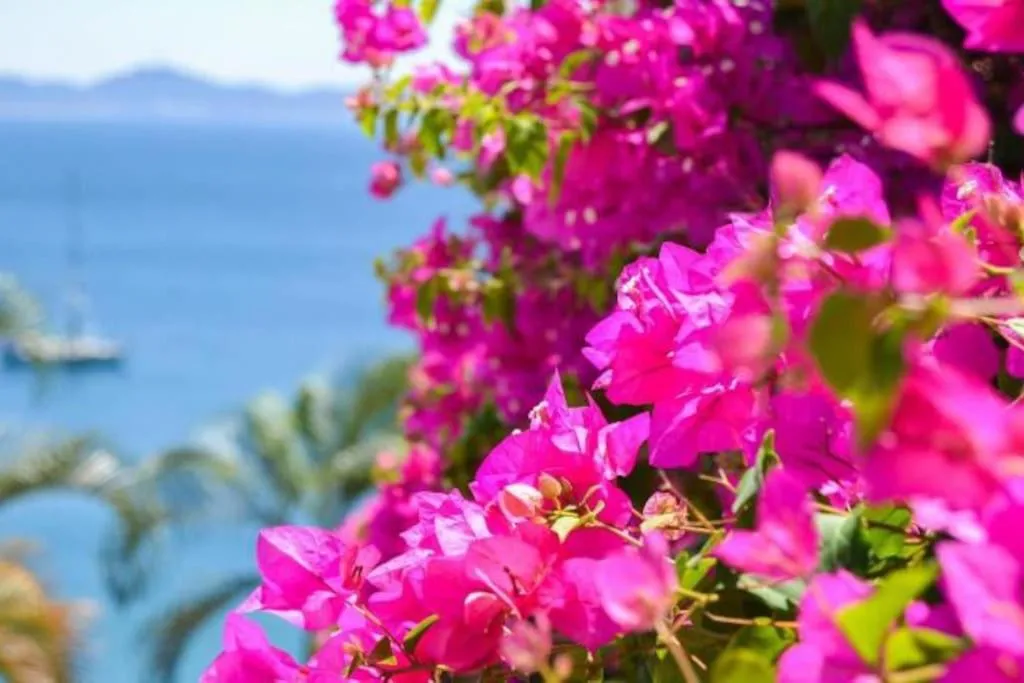 Natural landscape in Hermoso condominio en Bahía Manzanillo