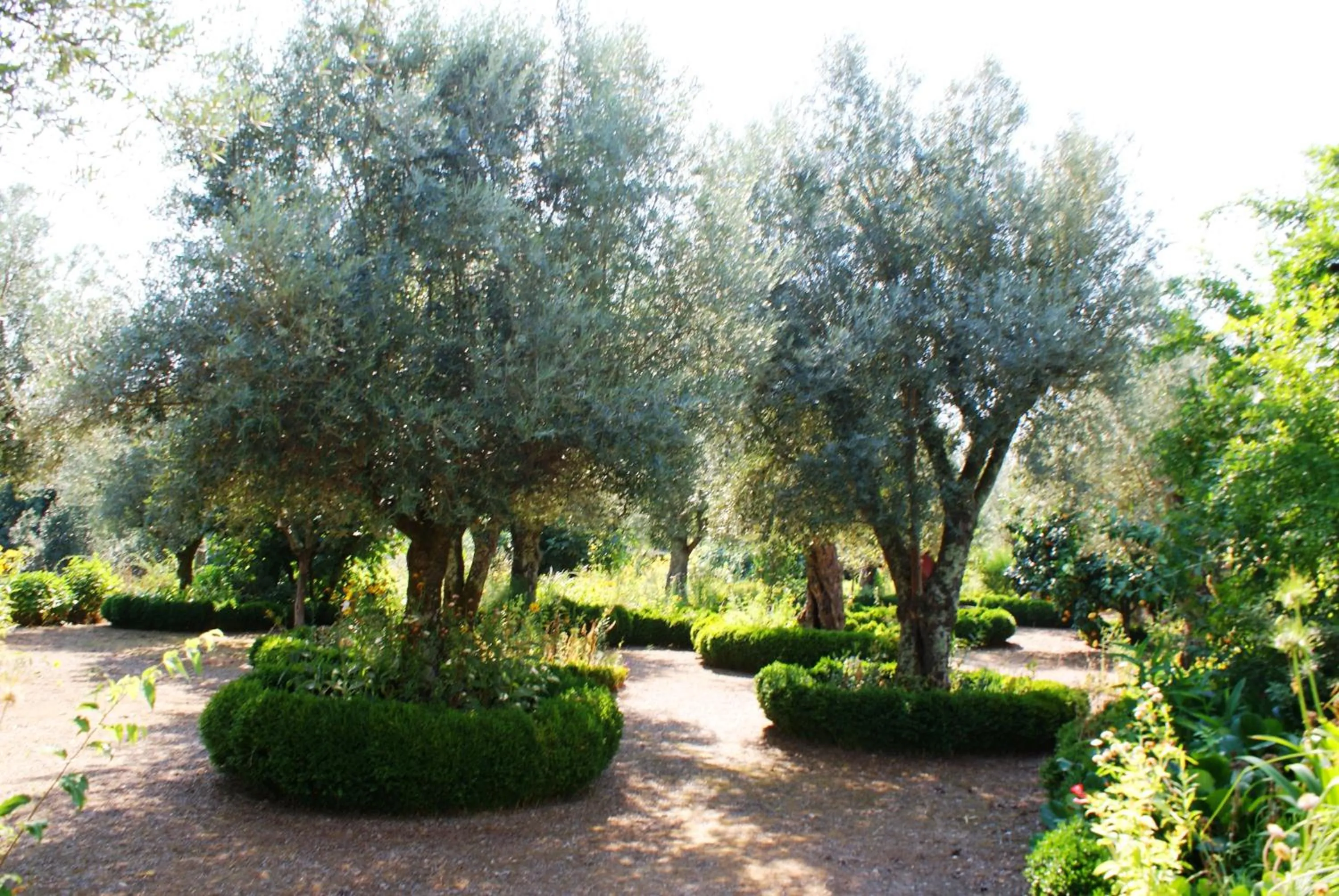 Area and facilities in Quinta Da Agra