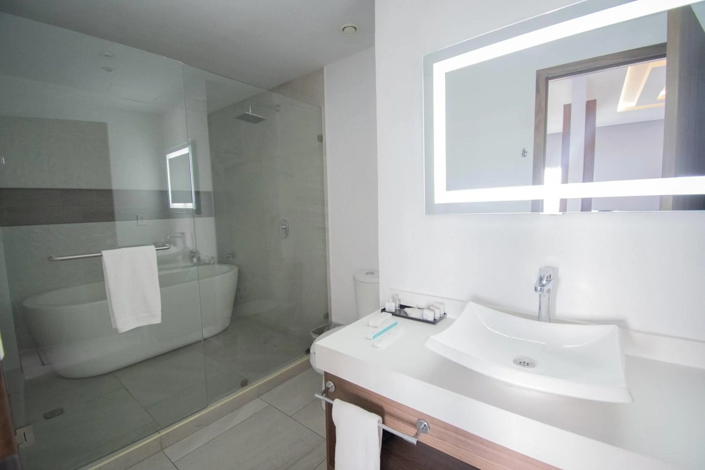 Bathroom in Wyndham Puebla Angelopolis