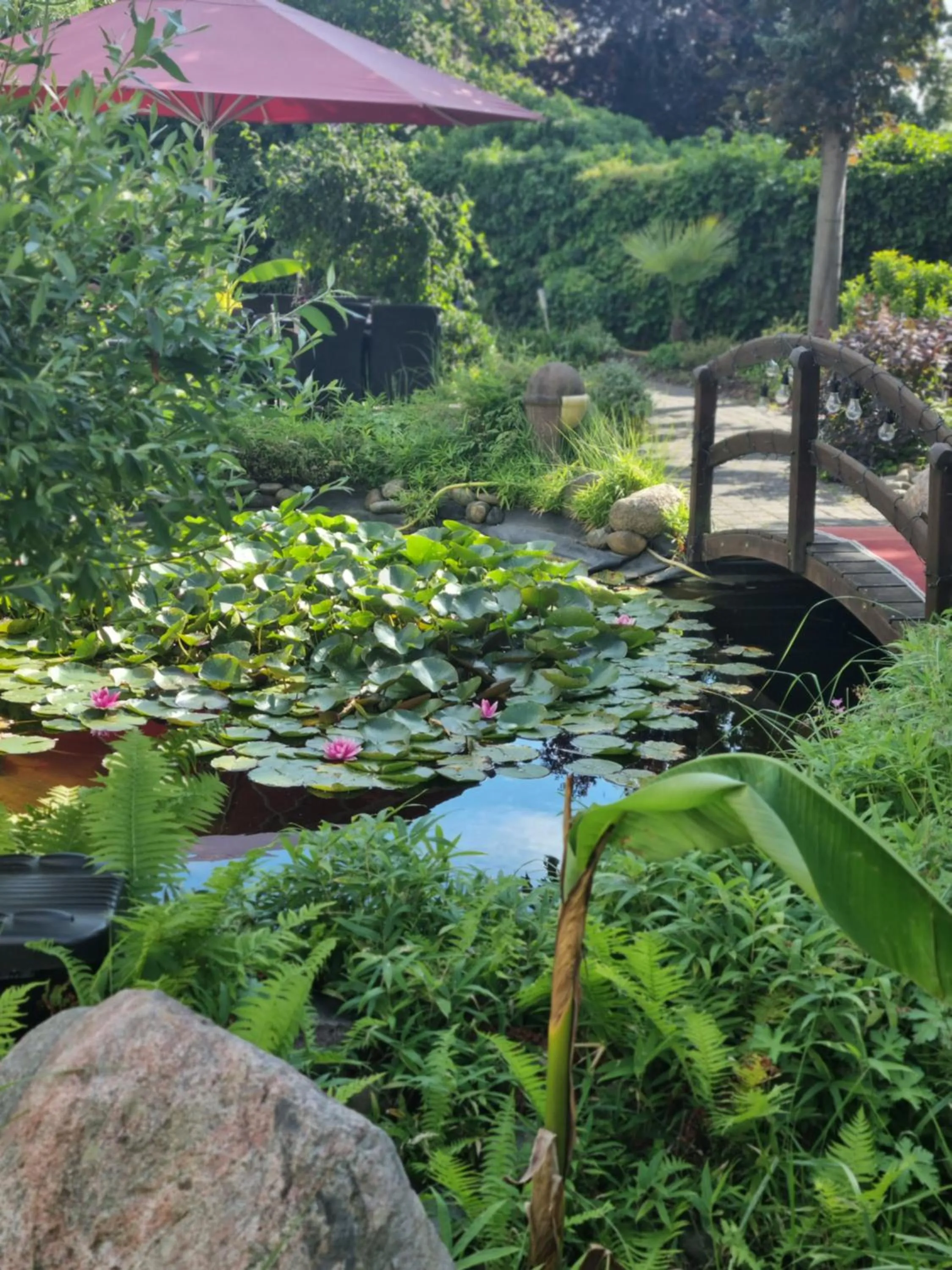 Garden in Landhaus Alpinia