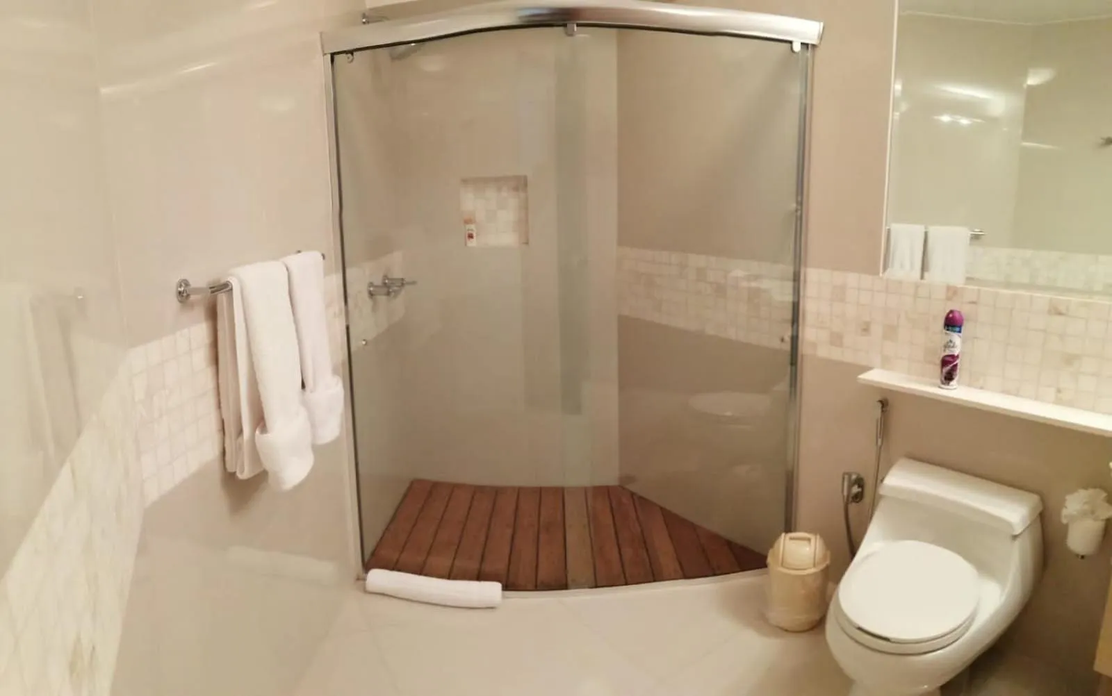 Shower in Hotel & Hacienda La Caravedo