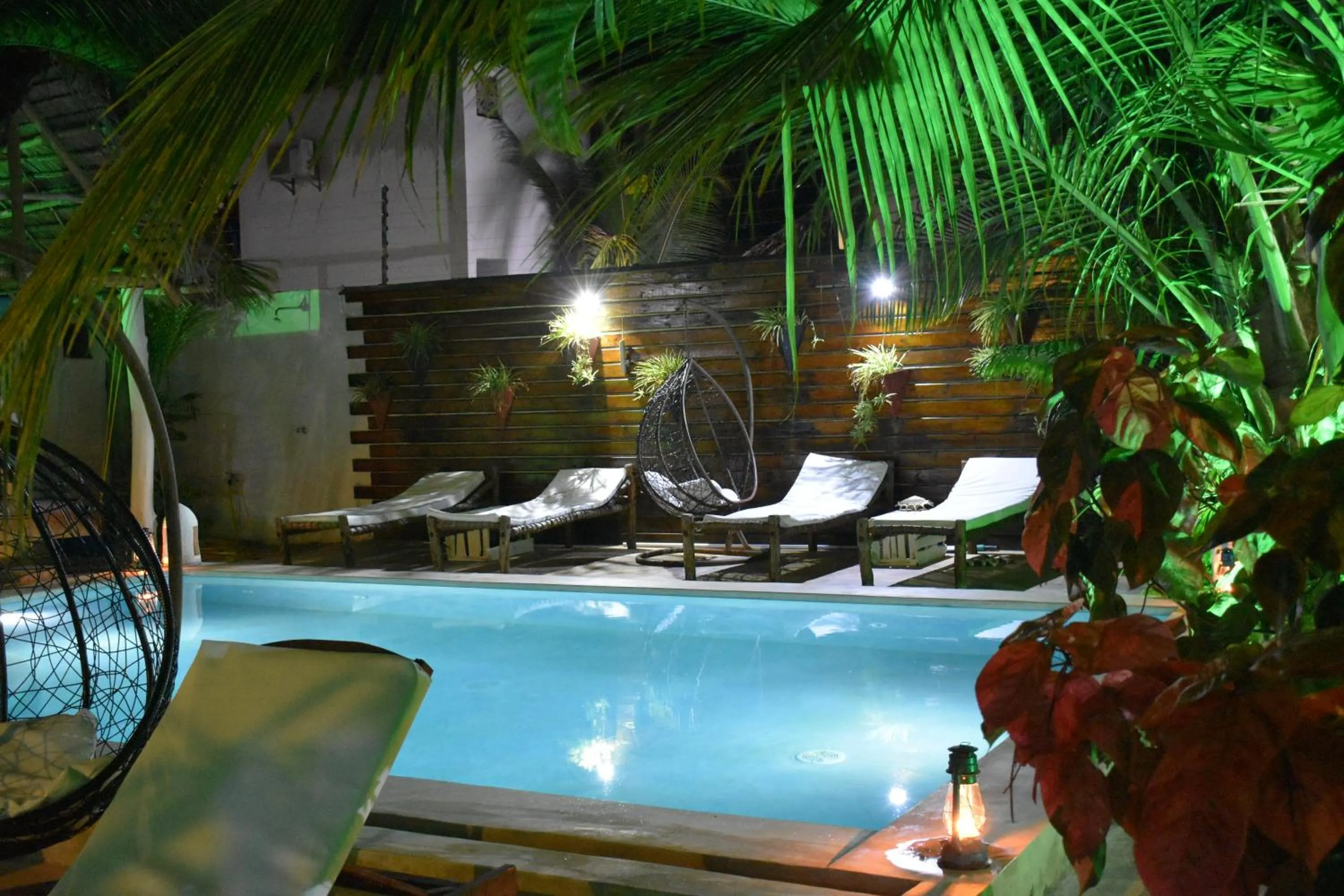 Night in Reyna Resort By Cezere The Palm