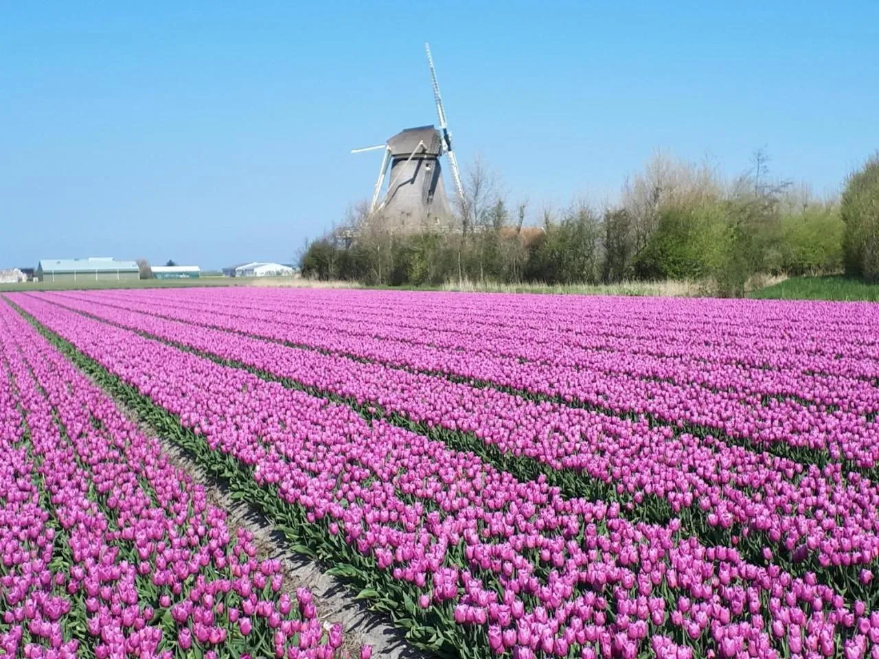 Nearby landmark in B&B de Keinsmer