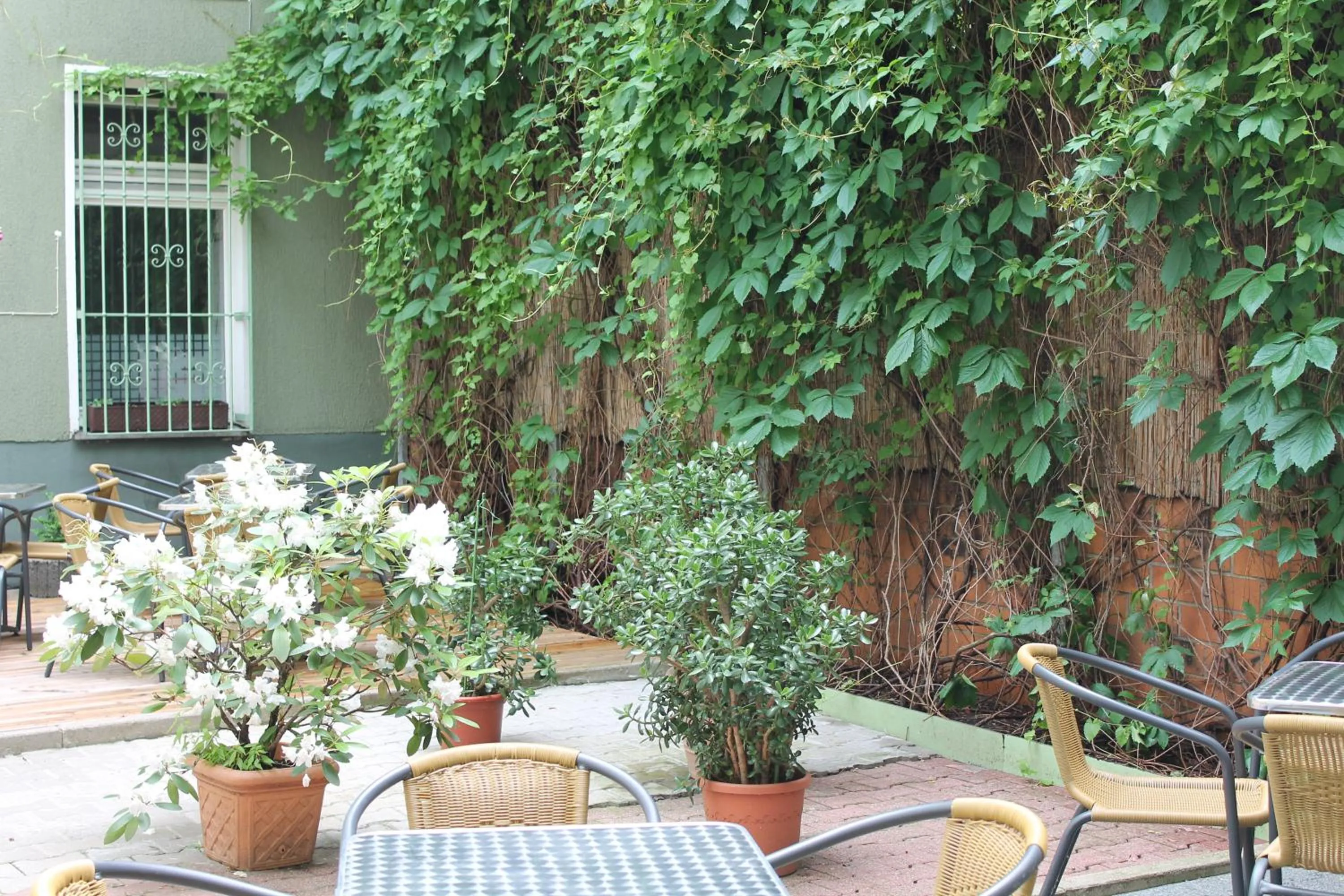 Patio in Apartments Kolo 77