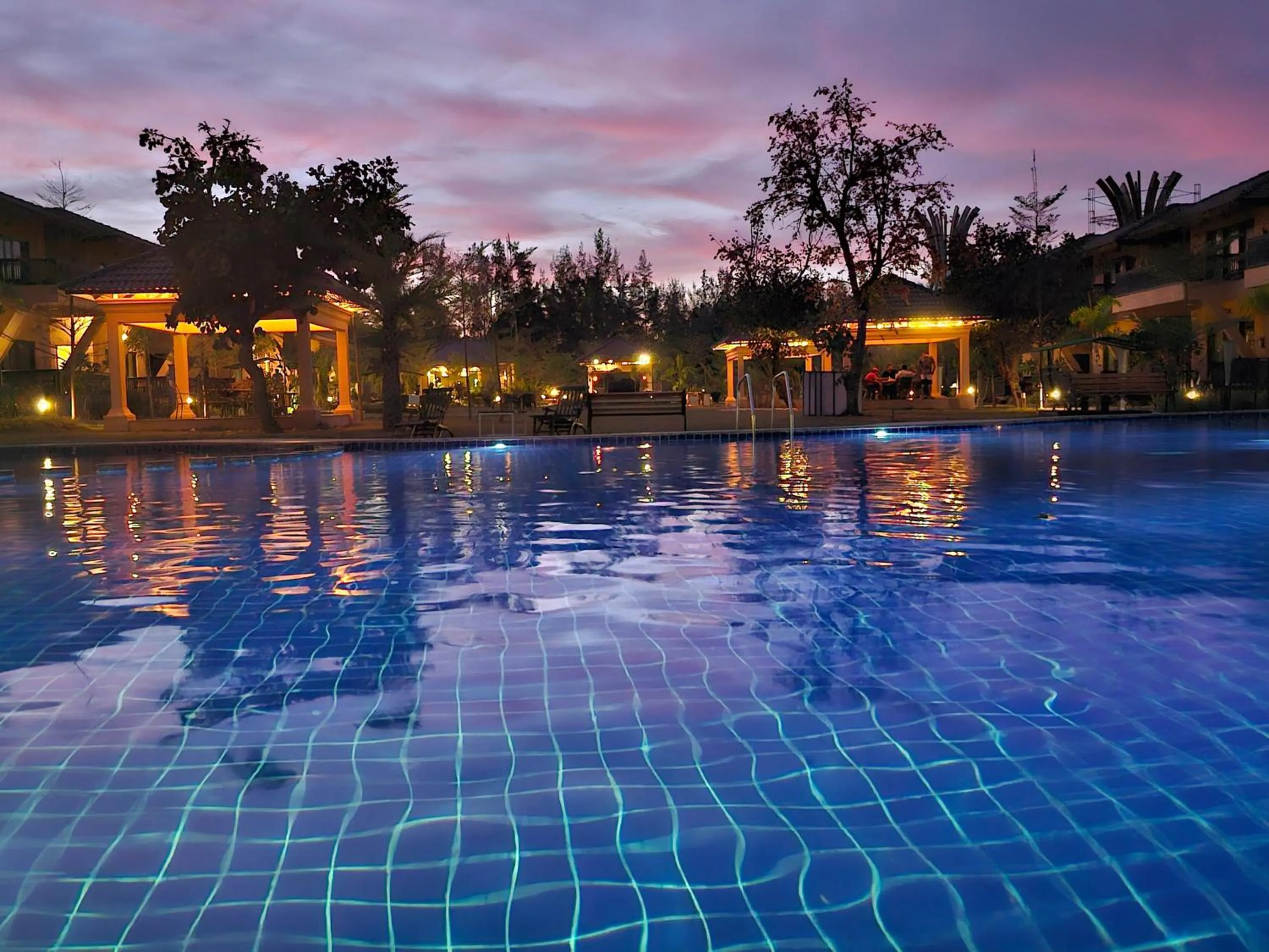 The Pench International