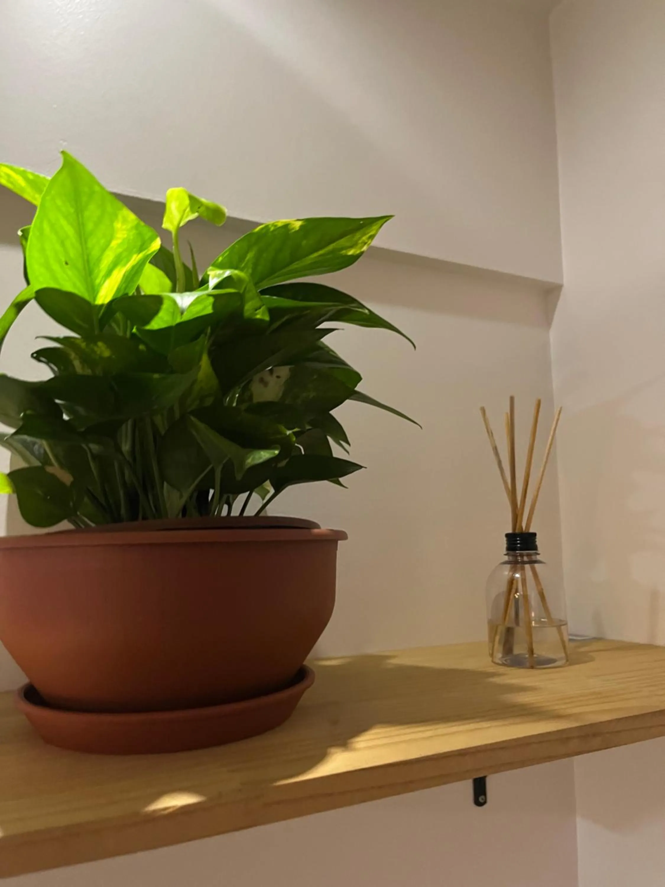 Apartamento Ponta Verde