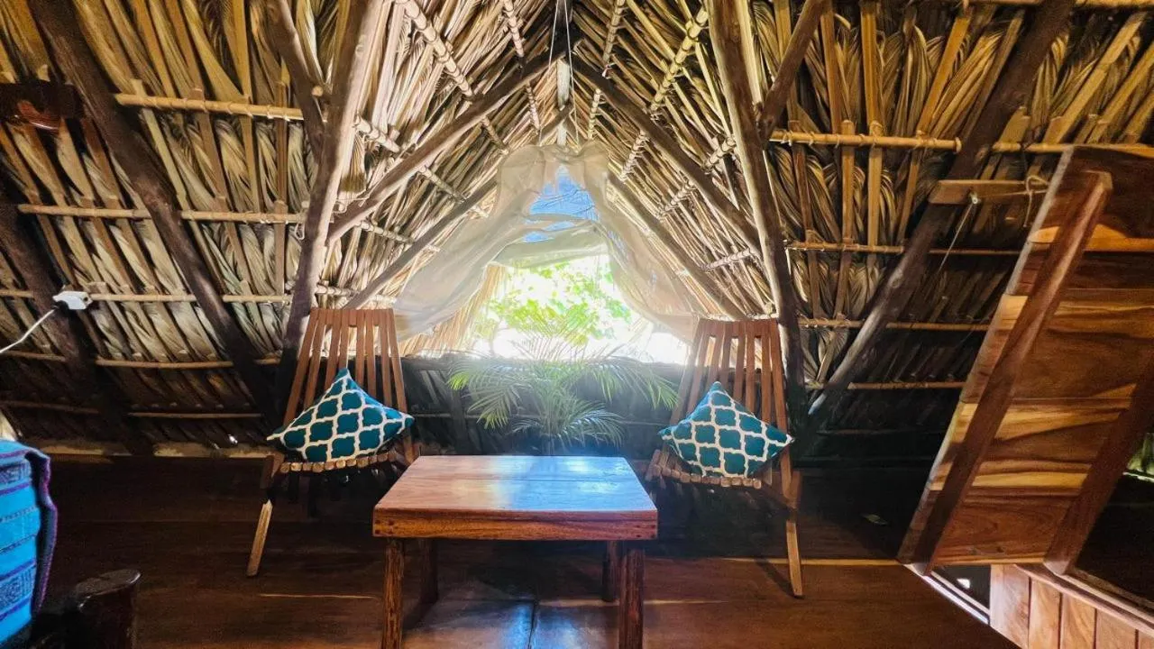 Paredon Surf House