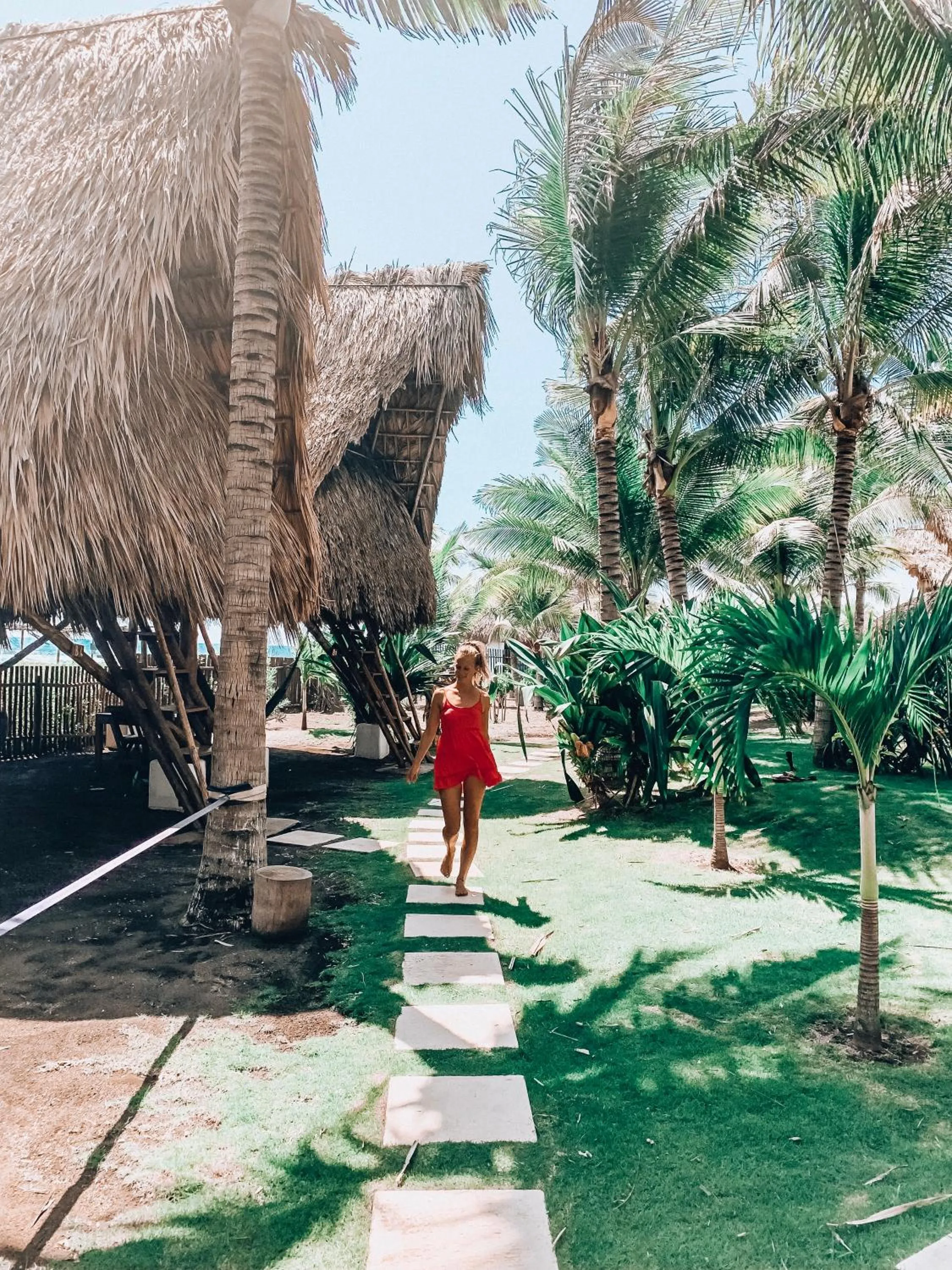 Garden in Paredon Surf House