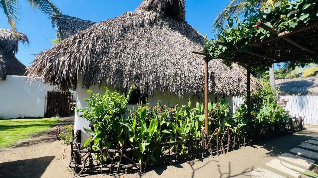 Paredon Surf House