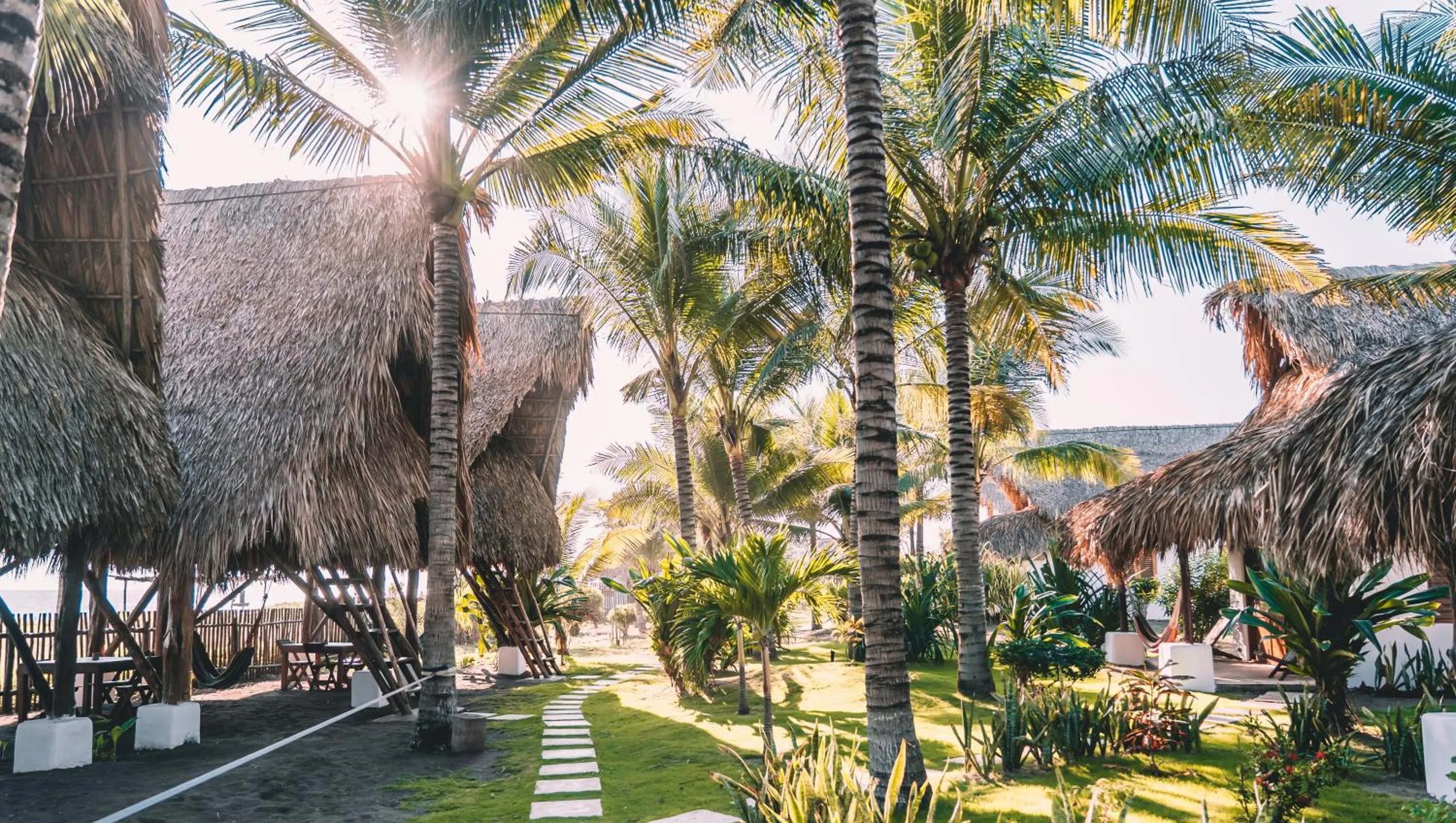 Garden in Paredon Surf House