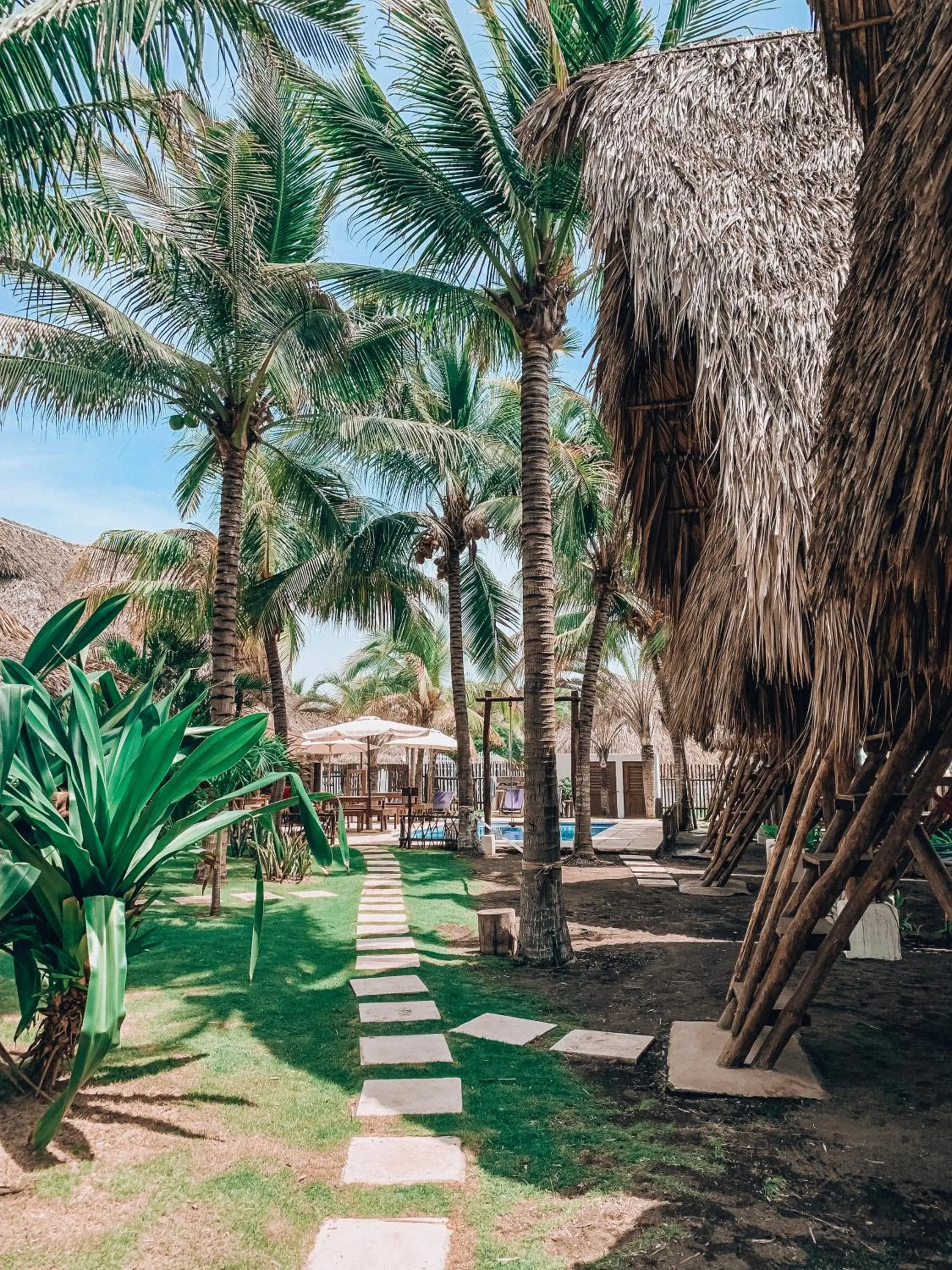 Garden in Paredon Surf House