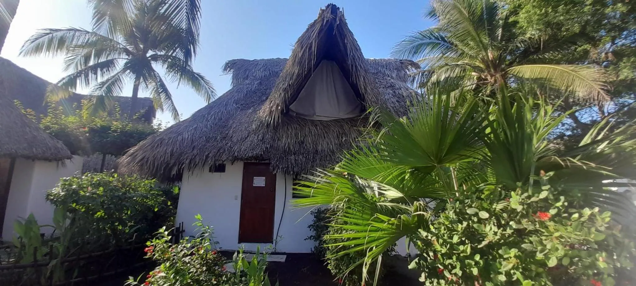 Garden view in Paredon Surf House