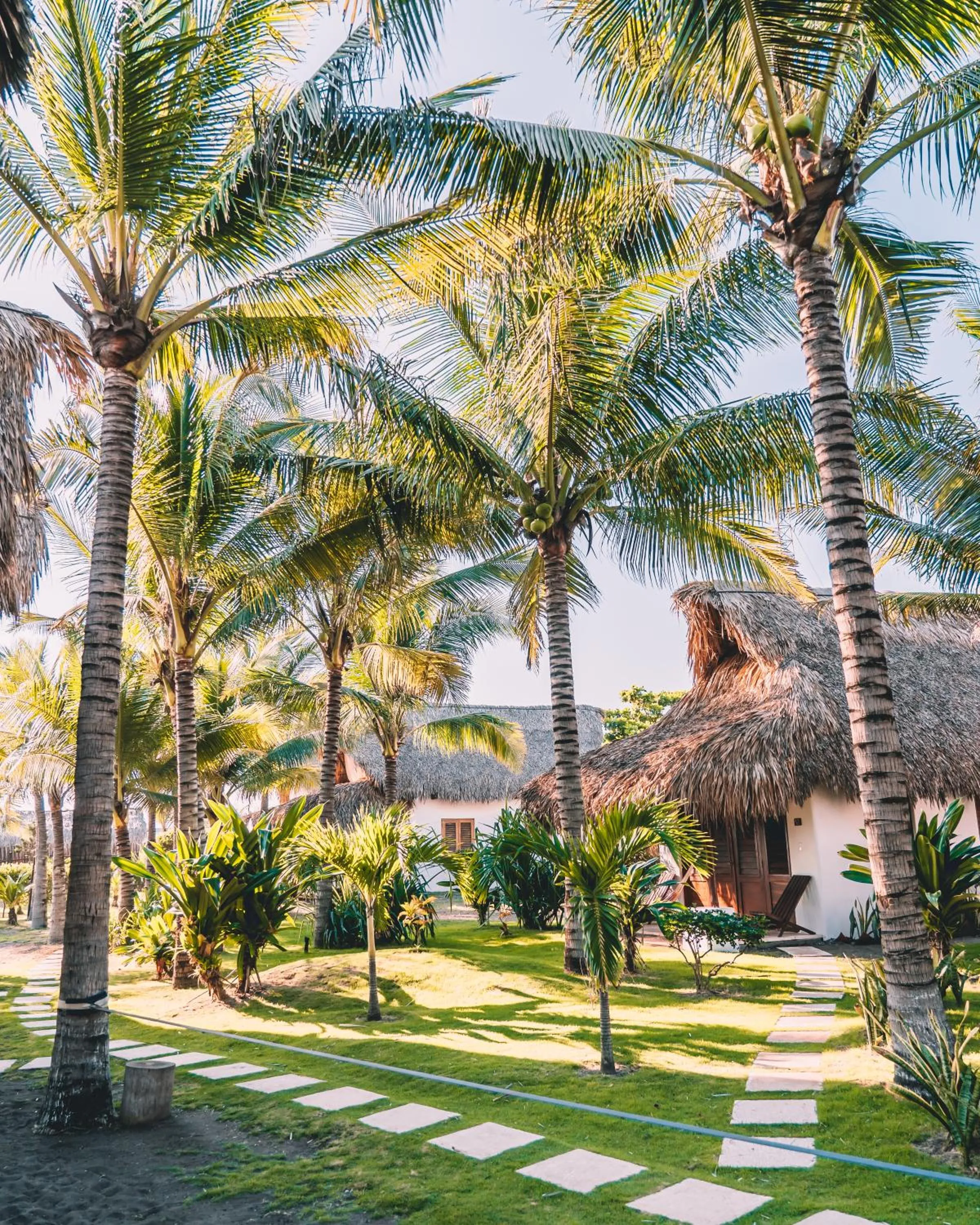 Garden in Paredon Surf House