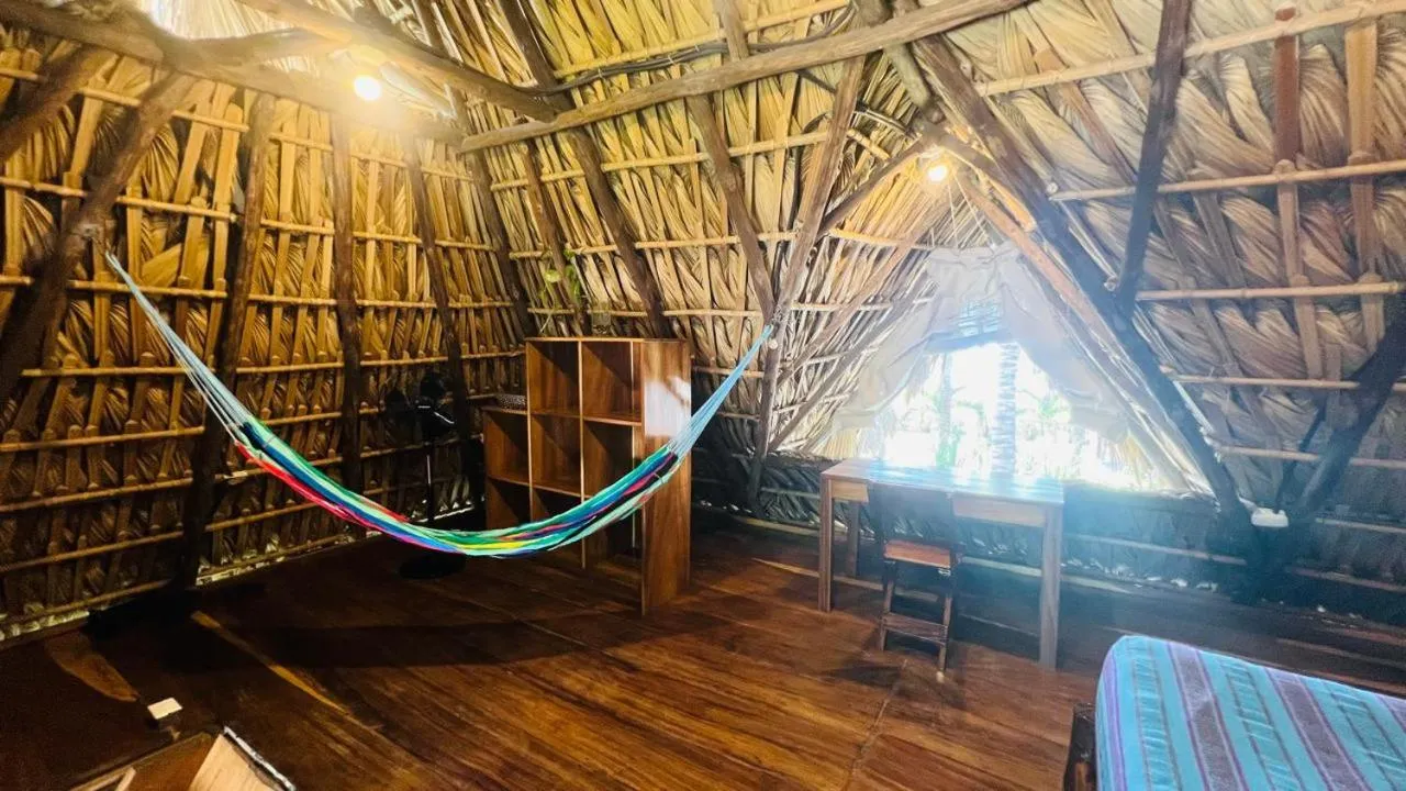 Paredon Surf House