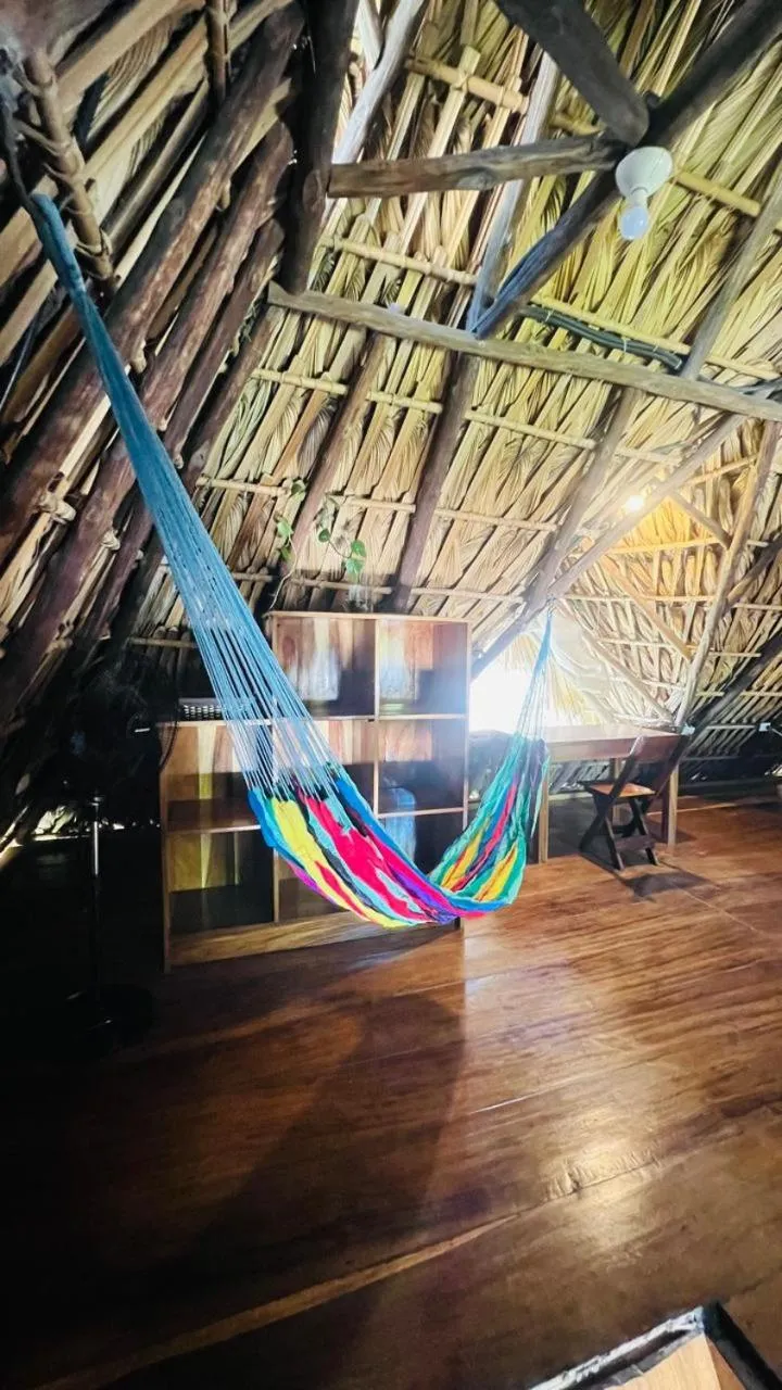Paredon Surf House
