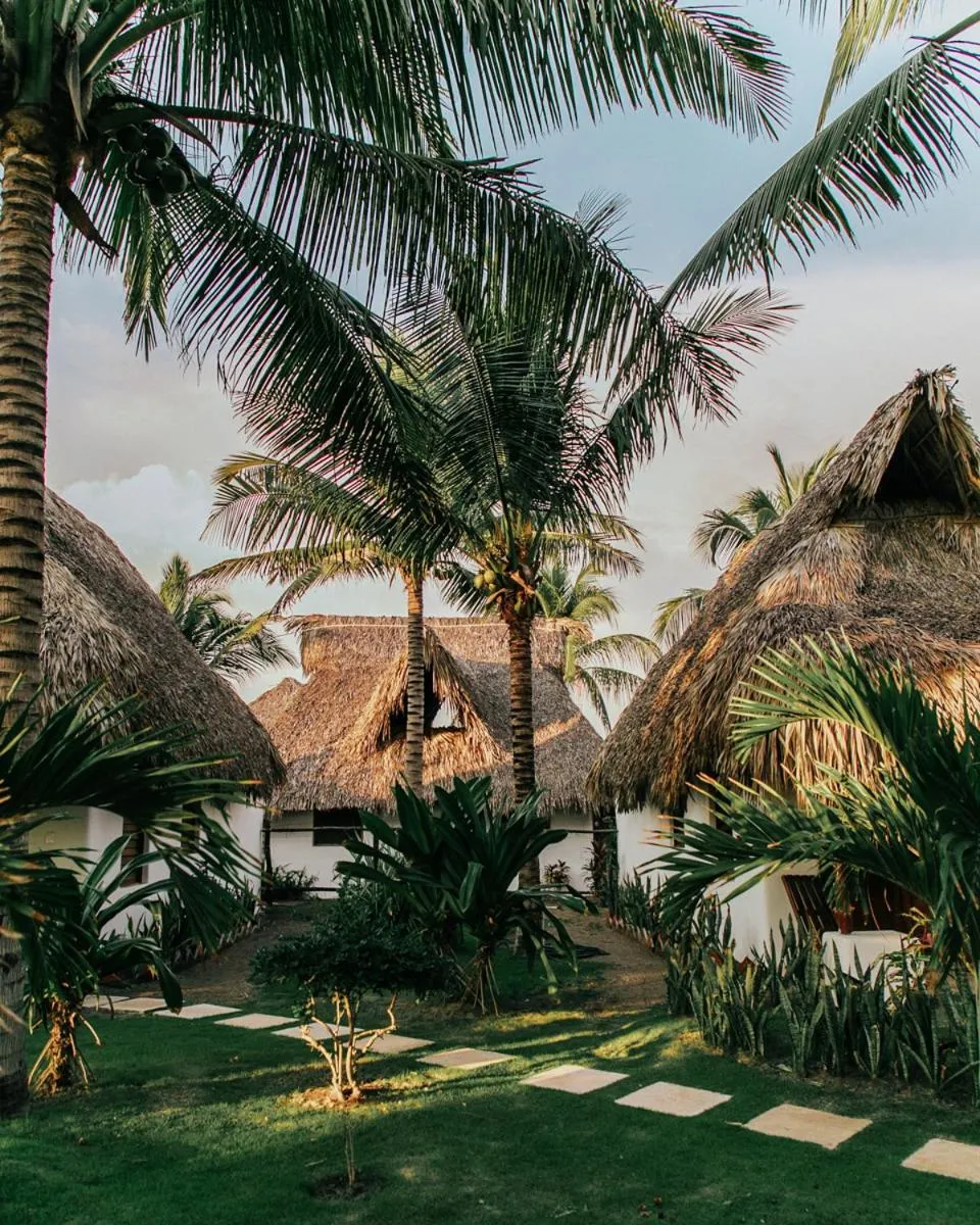 Garden in Paredon Surf House