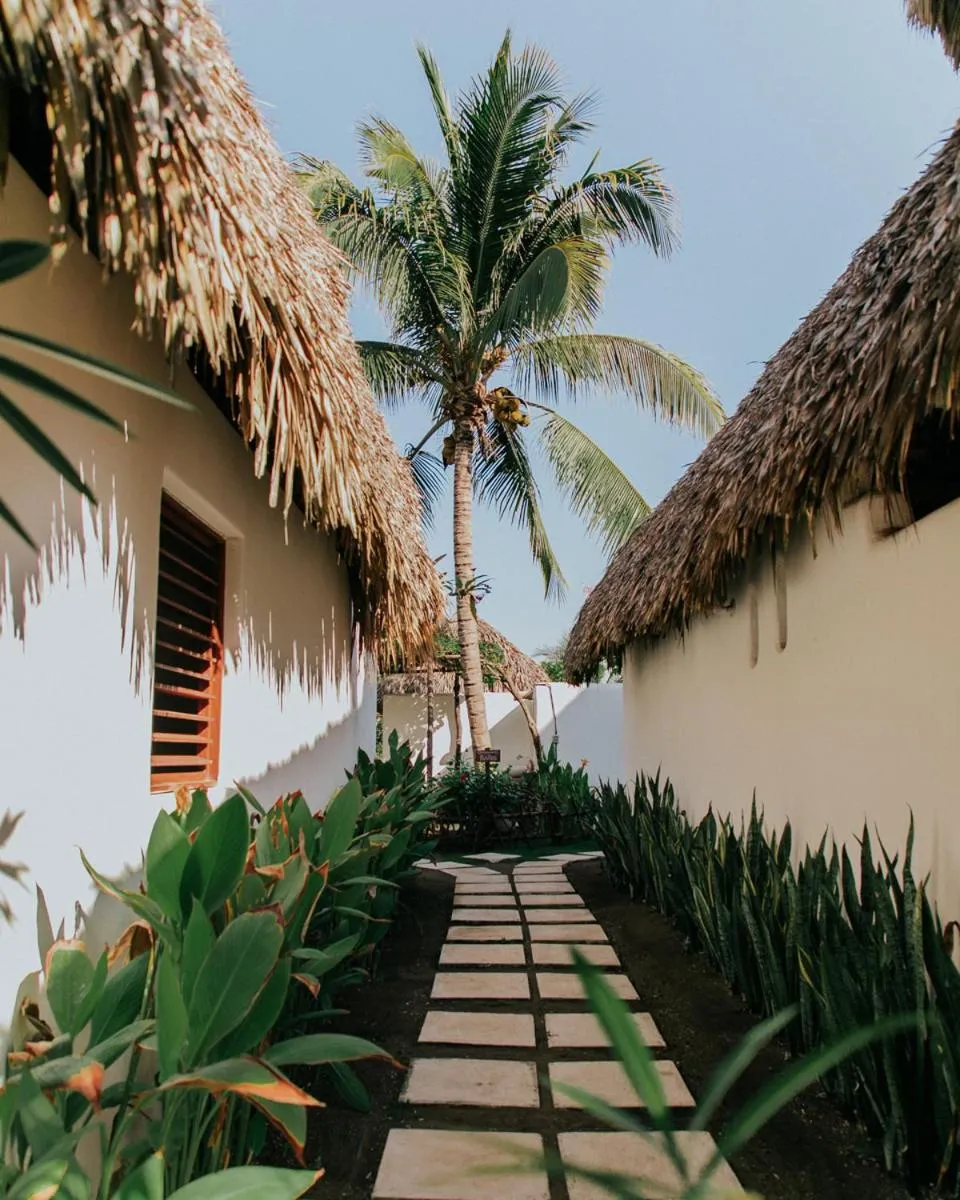Garden in Paredon Surf House