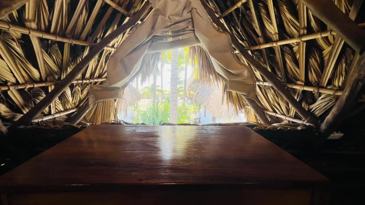 Paredon Surf House