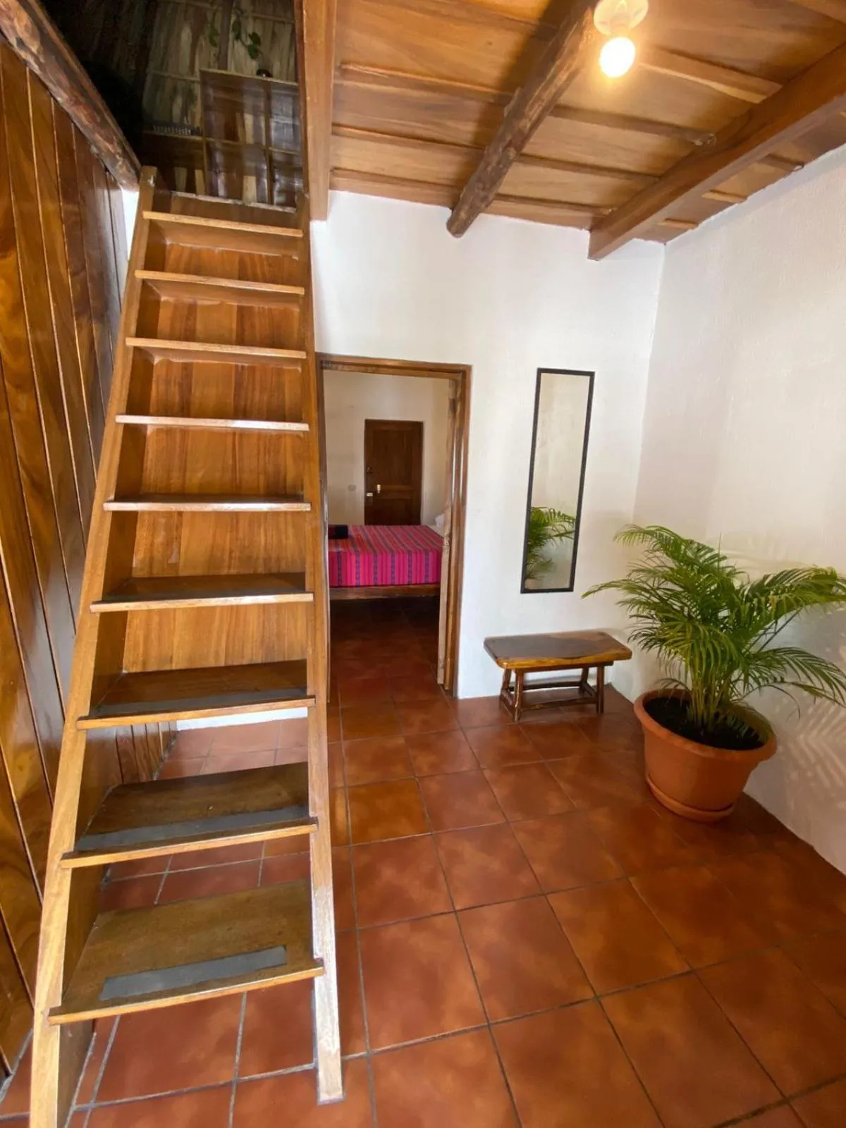 Paredon Surf House