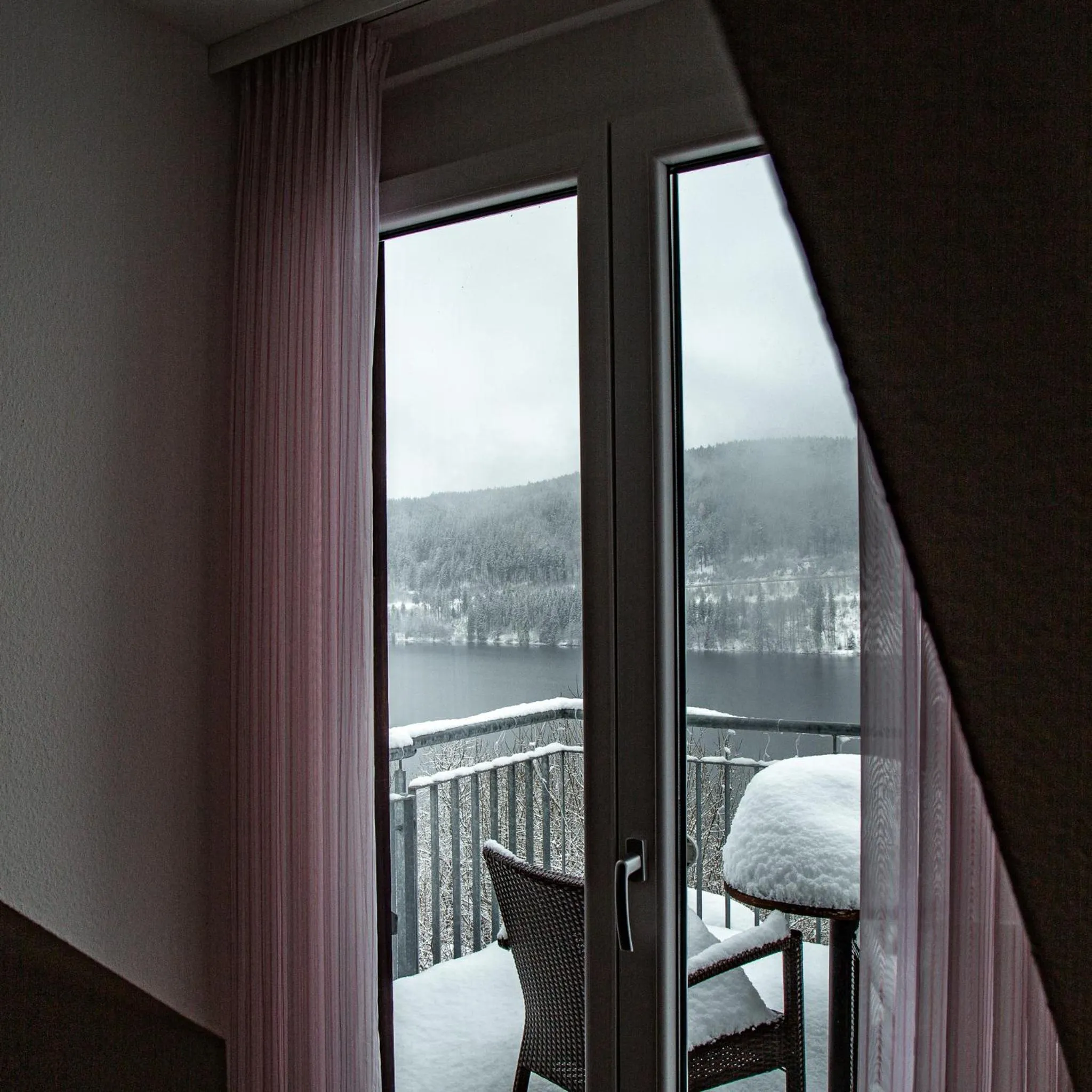 View (from property/room) in NATURE TITISEE - Easy.Life.Hotel.