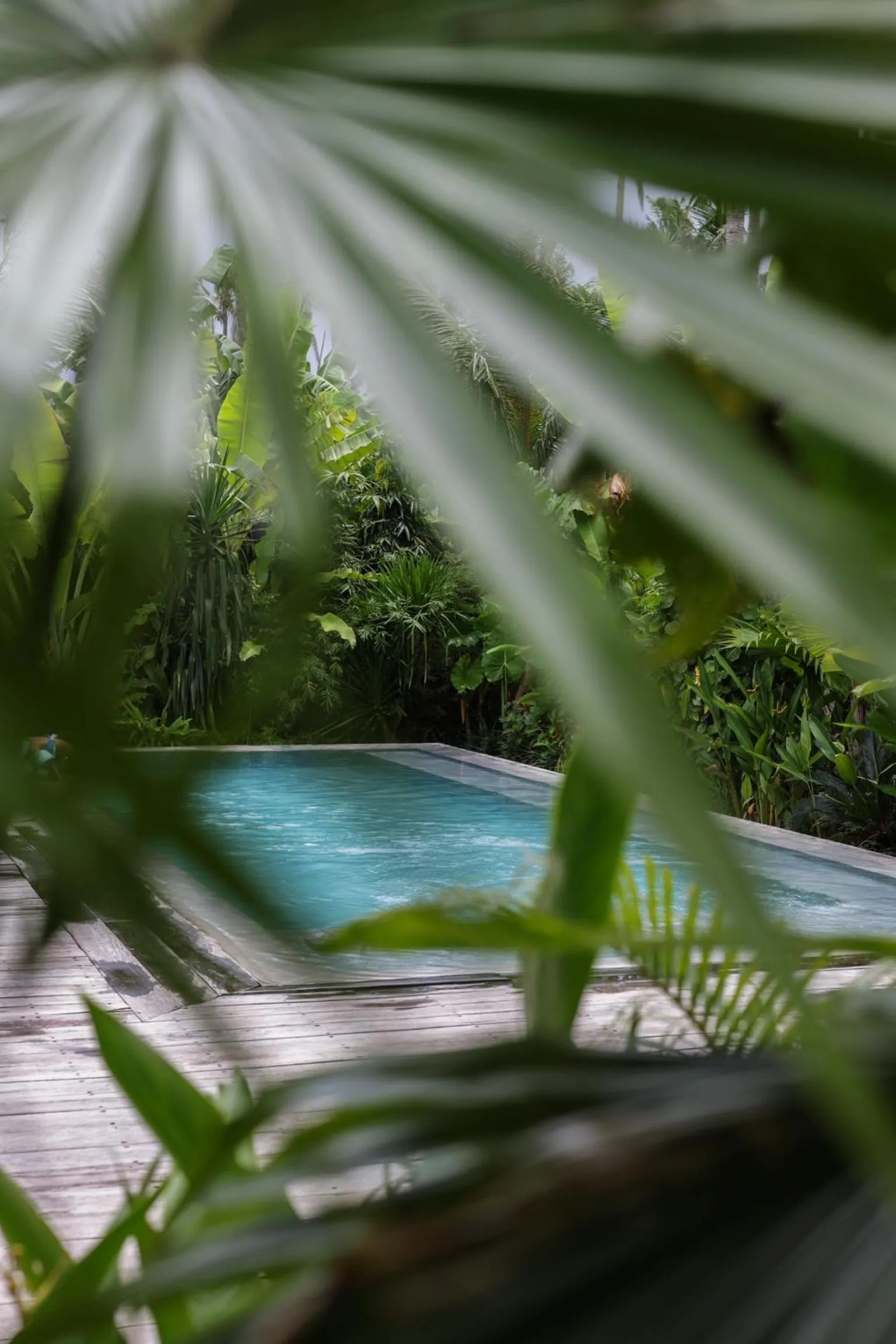 Swimming pool in Surfing Temple Boutique Hotel