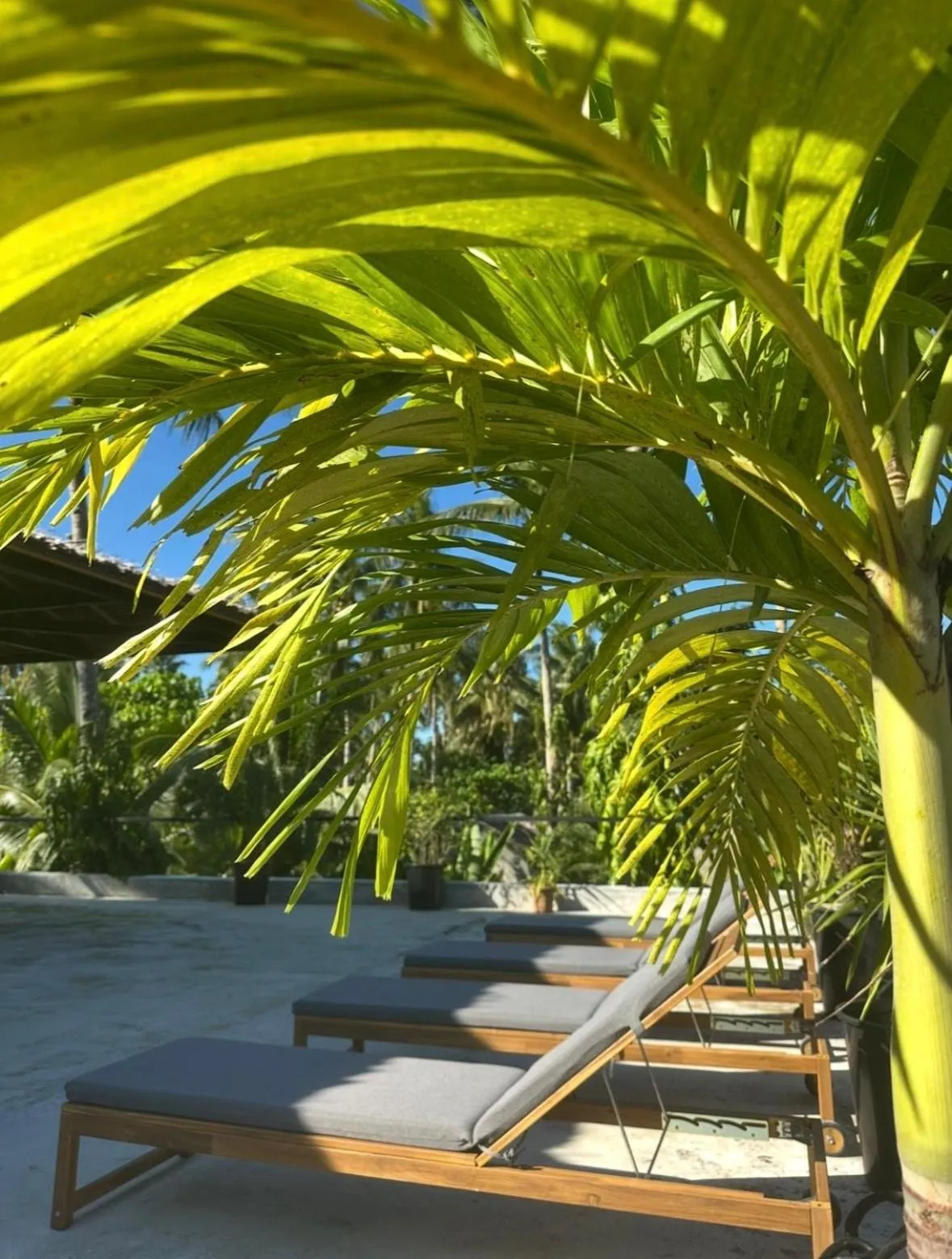Balcony/Terrace in Surfing Temple Boutique Hotel