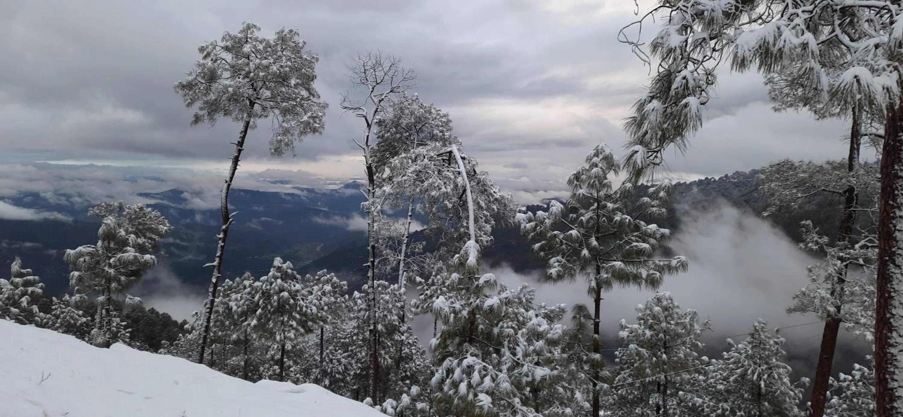 View (from property/room) in The Ranikhet Continental