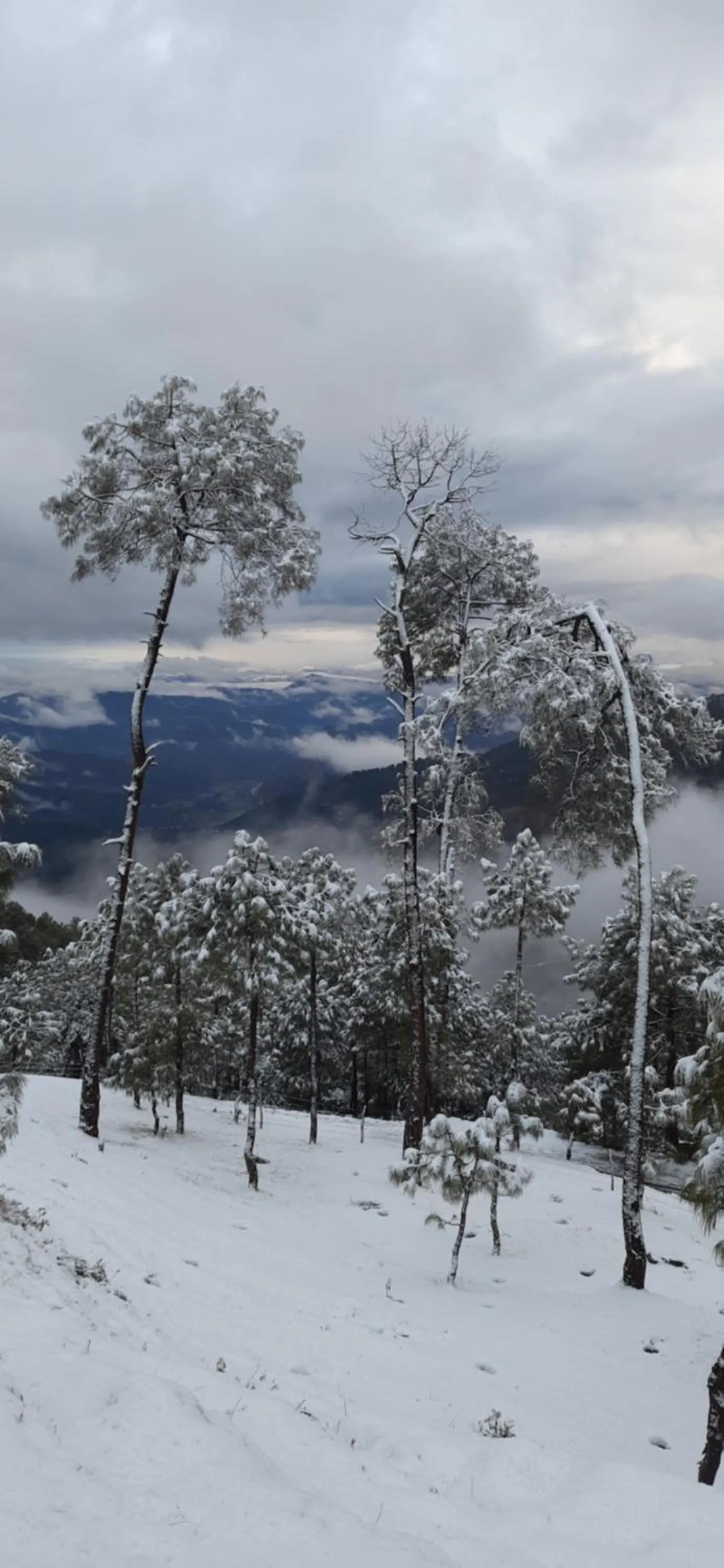 Property building in The Ranikhet Continental