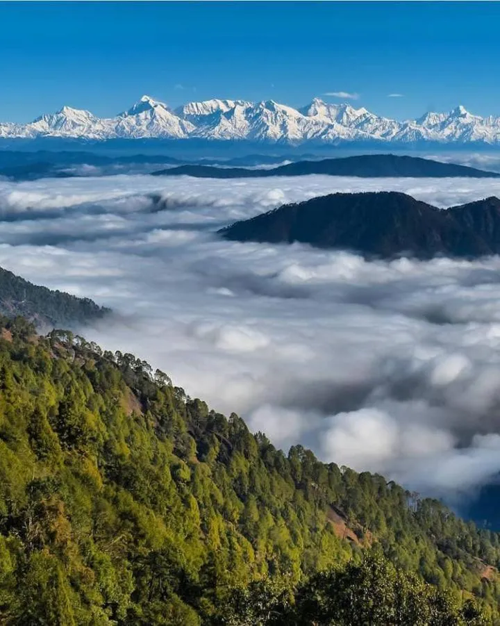 Property building in The Ranikhet Continental