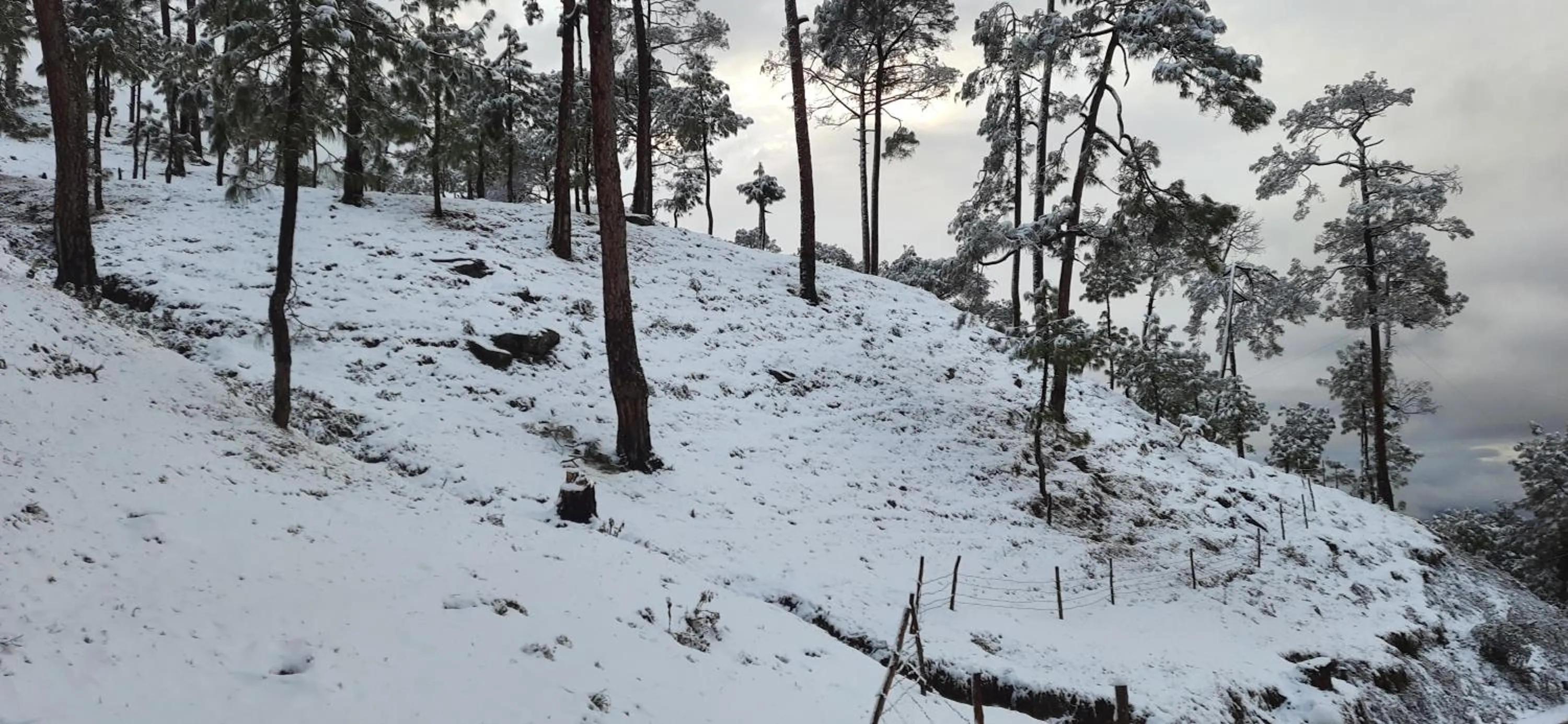View (from property/room) in The Ranikhet Continental