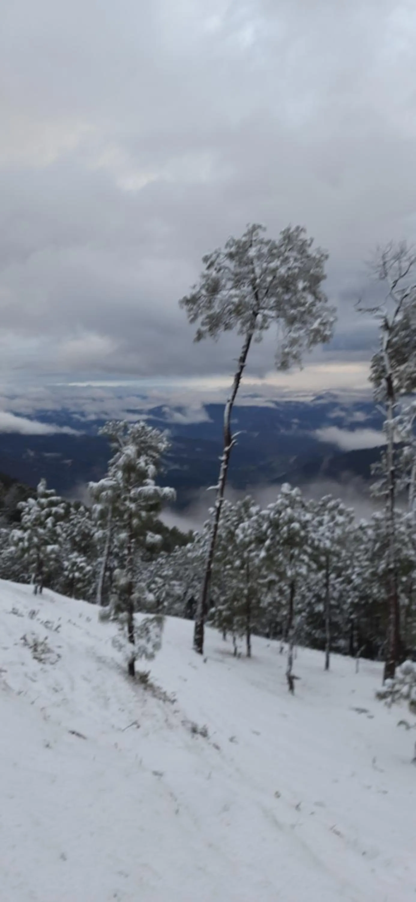 View (from property/room) in The Ranikhet Continental