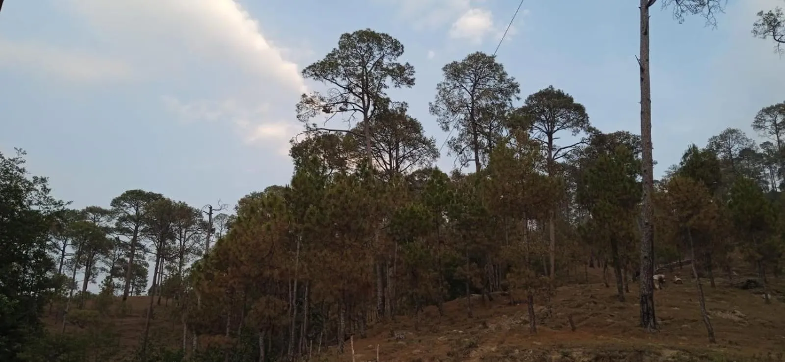 View (from property/room) in The Ranikhet Continental