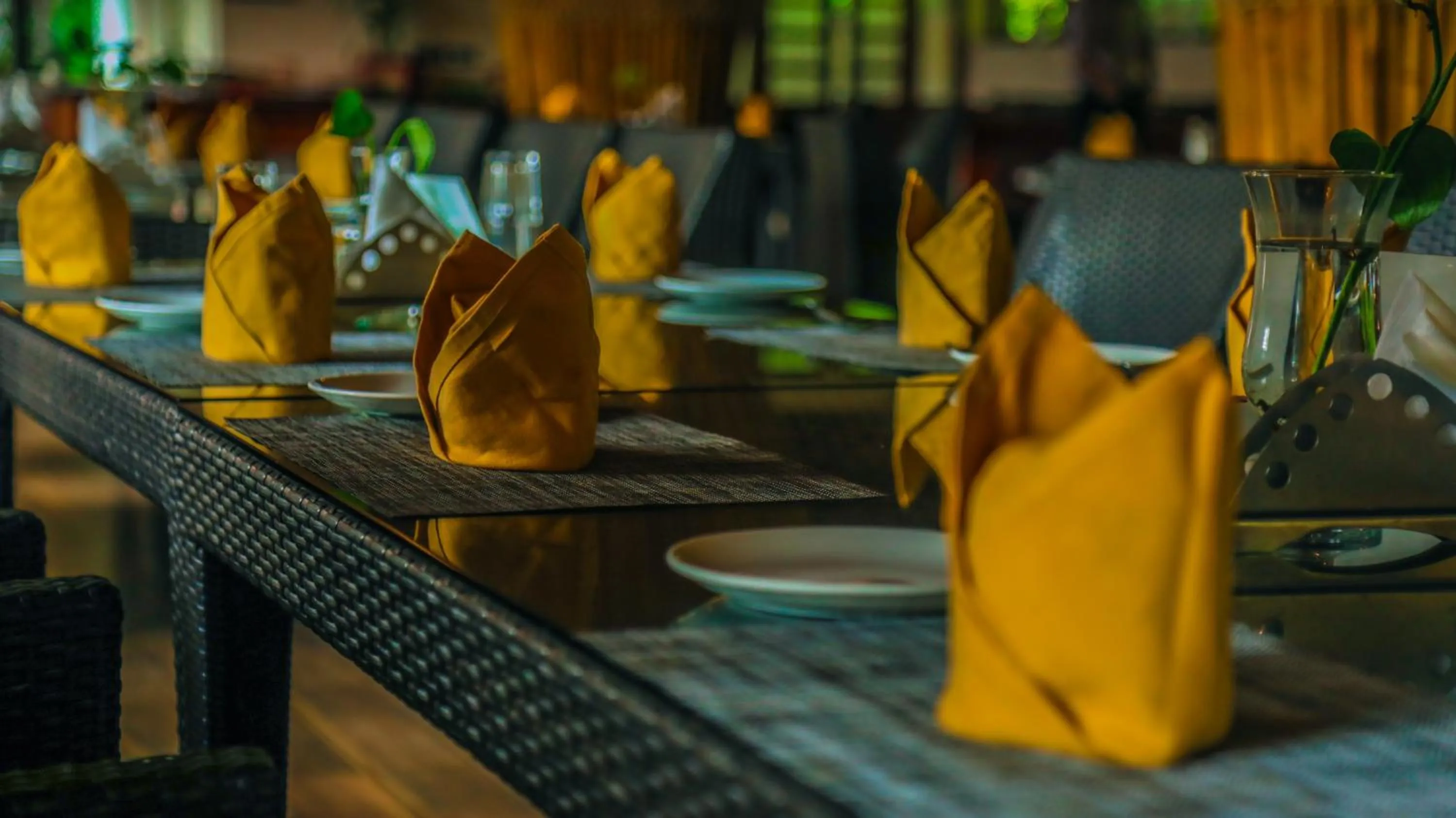 Restaurant/places to eat in Southern Panorama Indriya Resorts & Spa