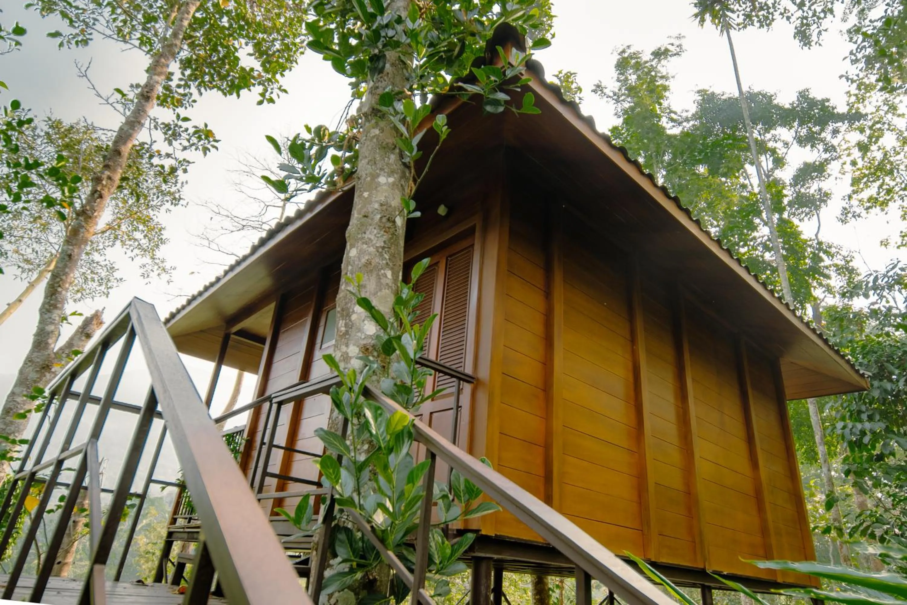 View (from property/room) in Southern Panorama Indriya Resorts & Spa