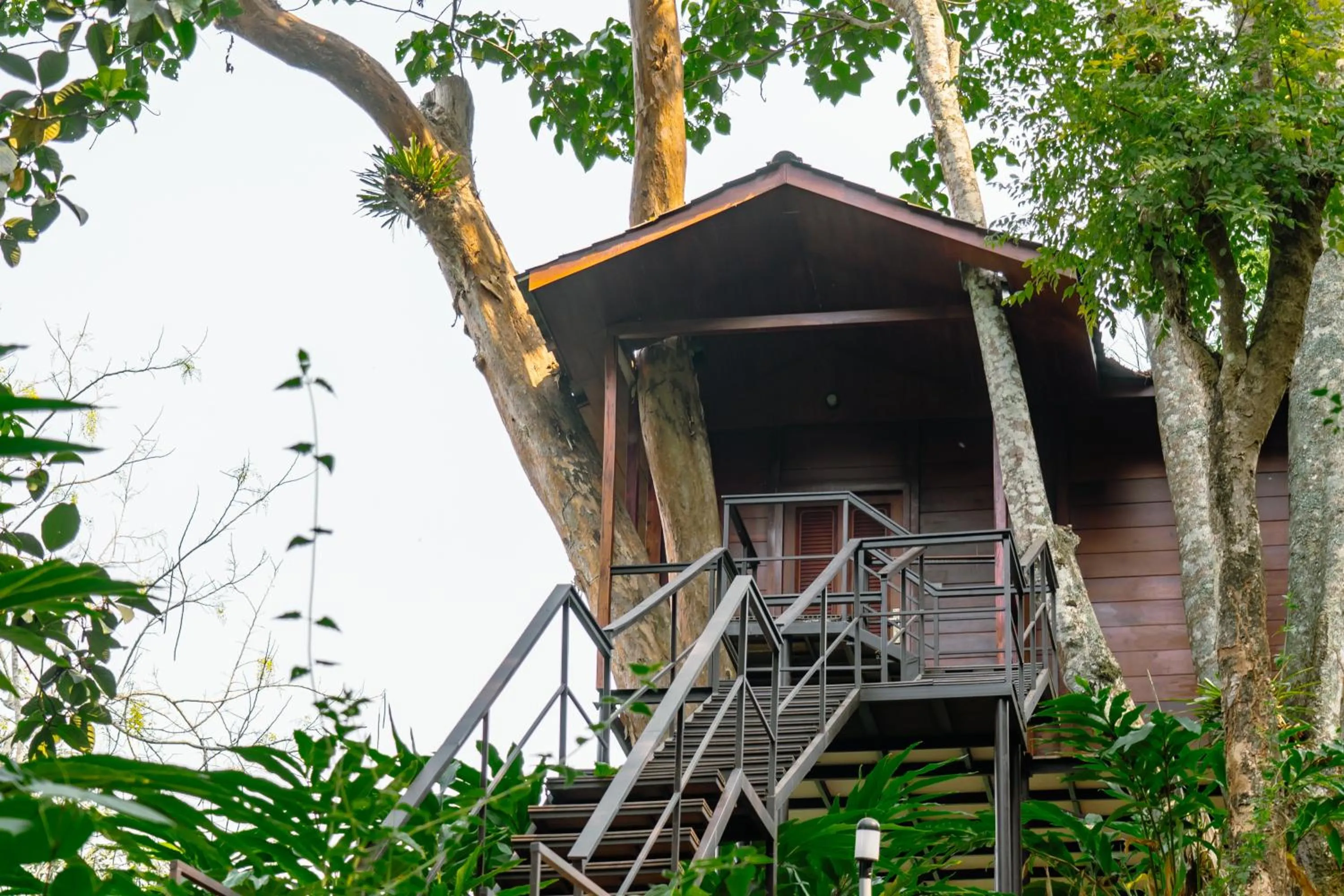 View (from property/room) in Southern Panorama Indriya Resorts & Spa