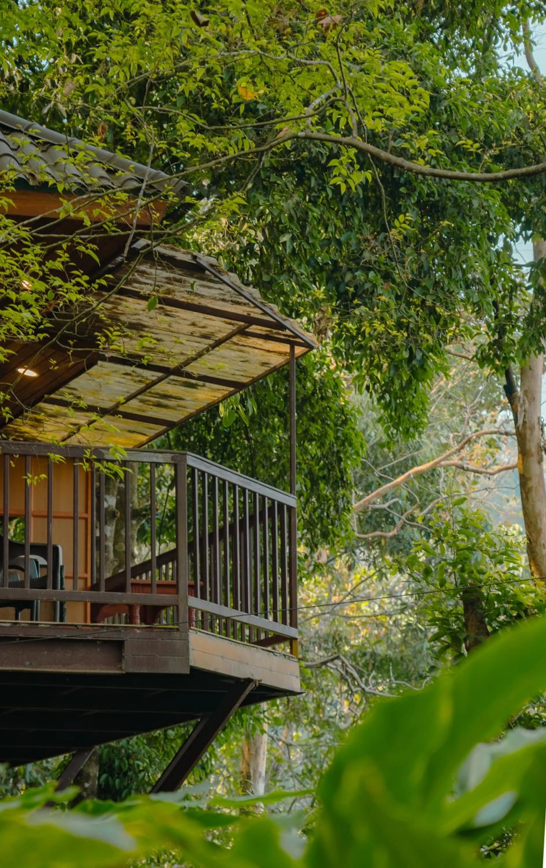 View (from property/room) in Southern Panorama Indriya Resorts & Spa