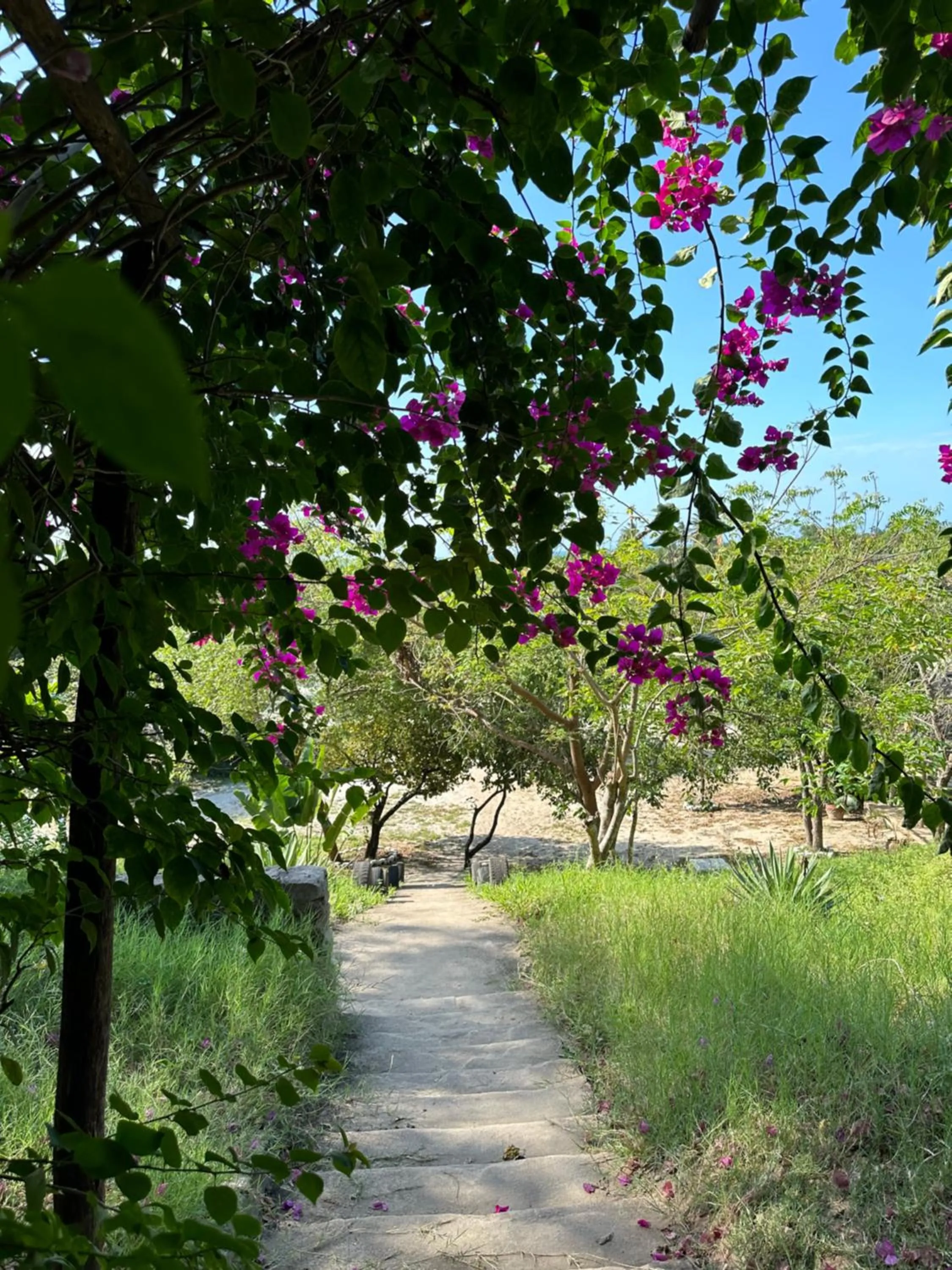 Day in Mikoko Beach & Cottages