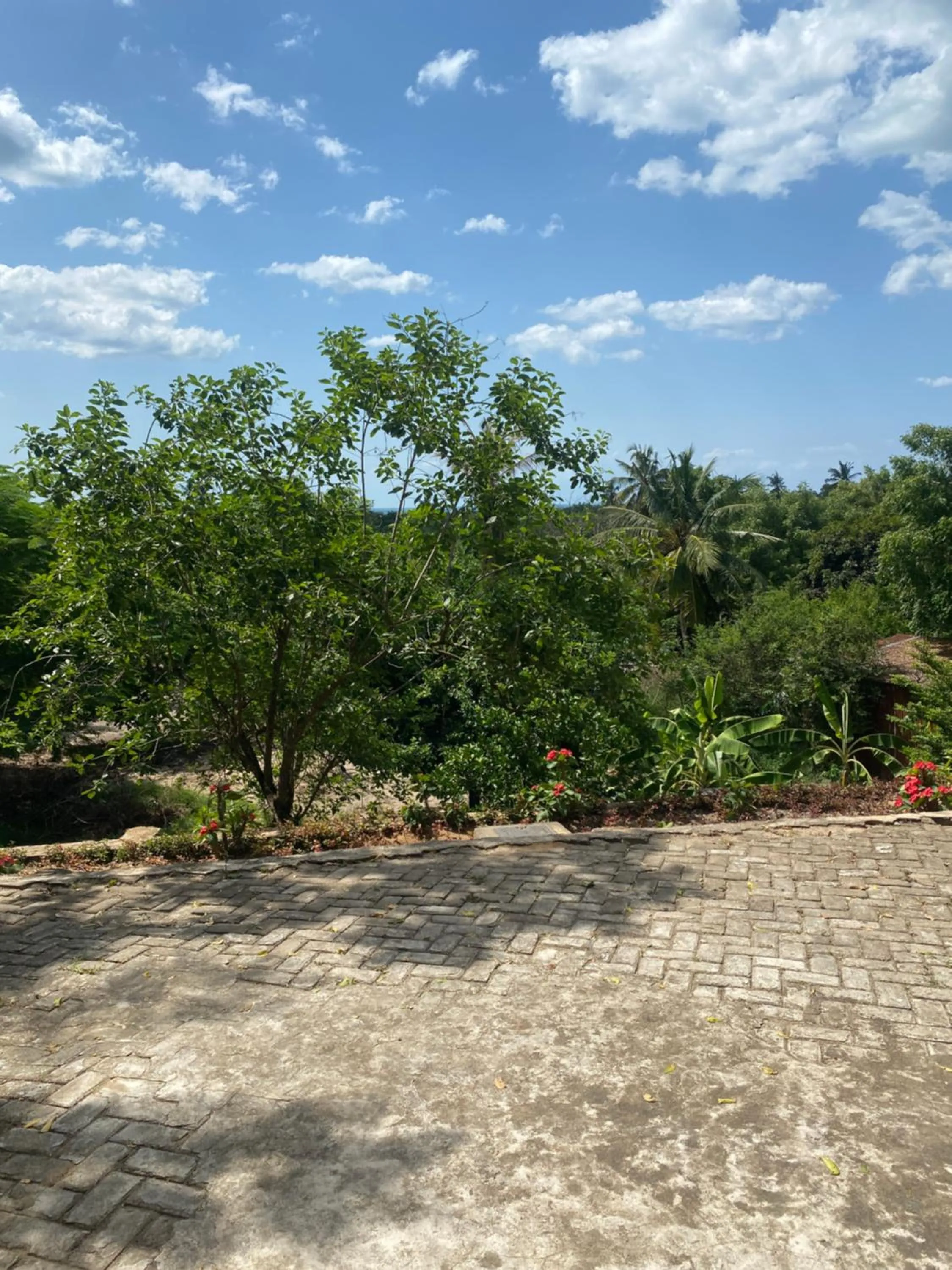 Garden in Mikoko Beach & Cottages