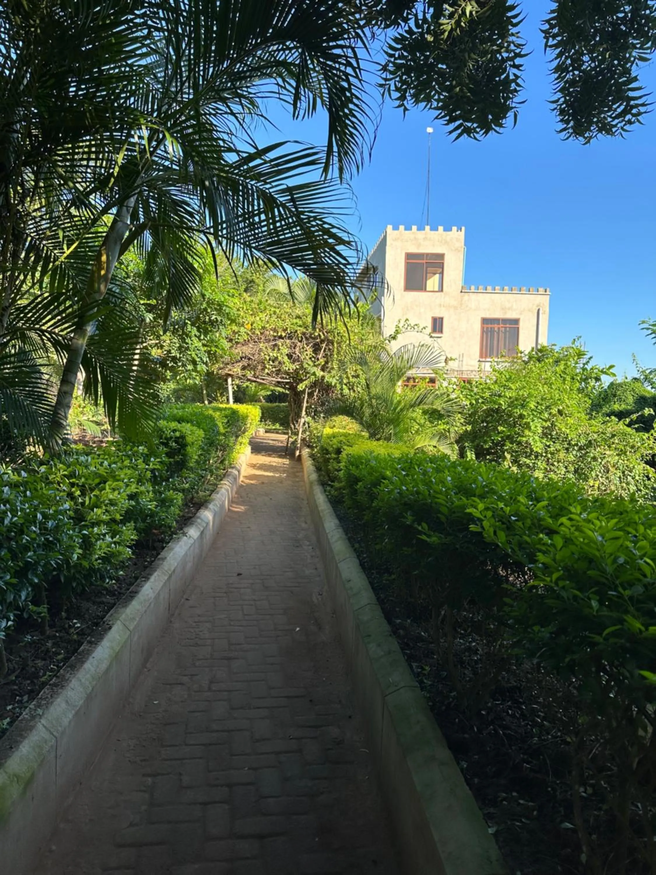 Property building in Mikoko Beach & Cottages