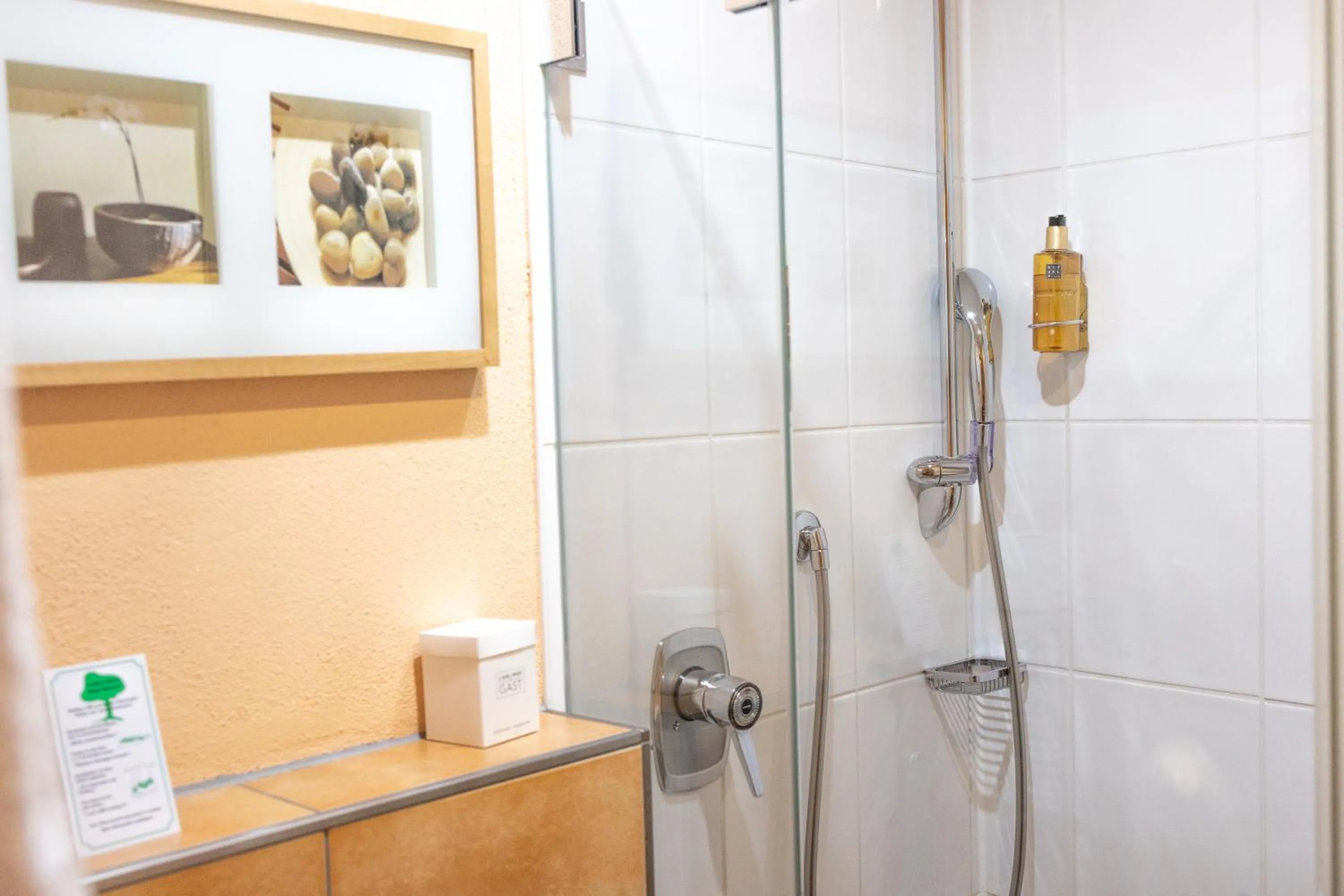 Shower in Hotel Kübler