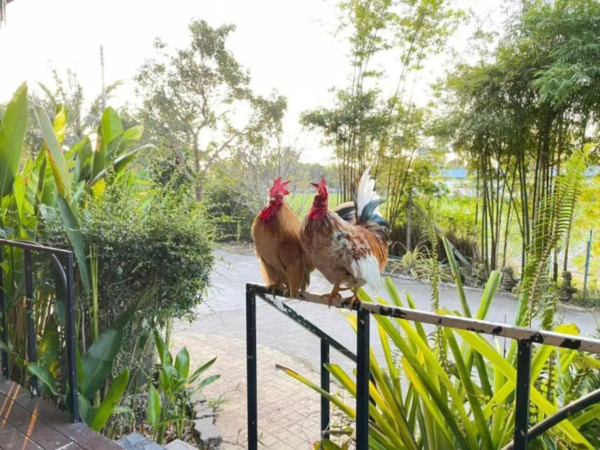 Animals in Long Lake Resort