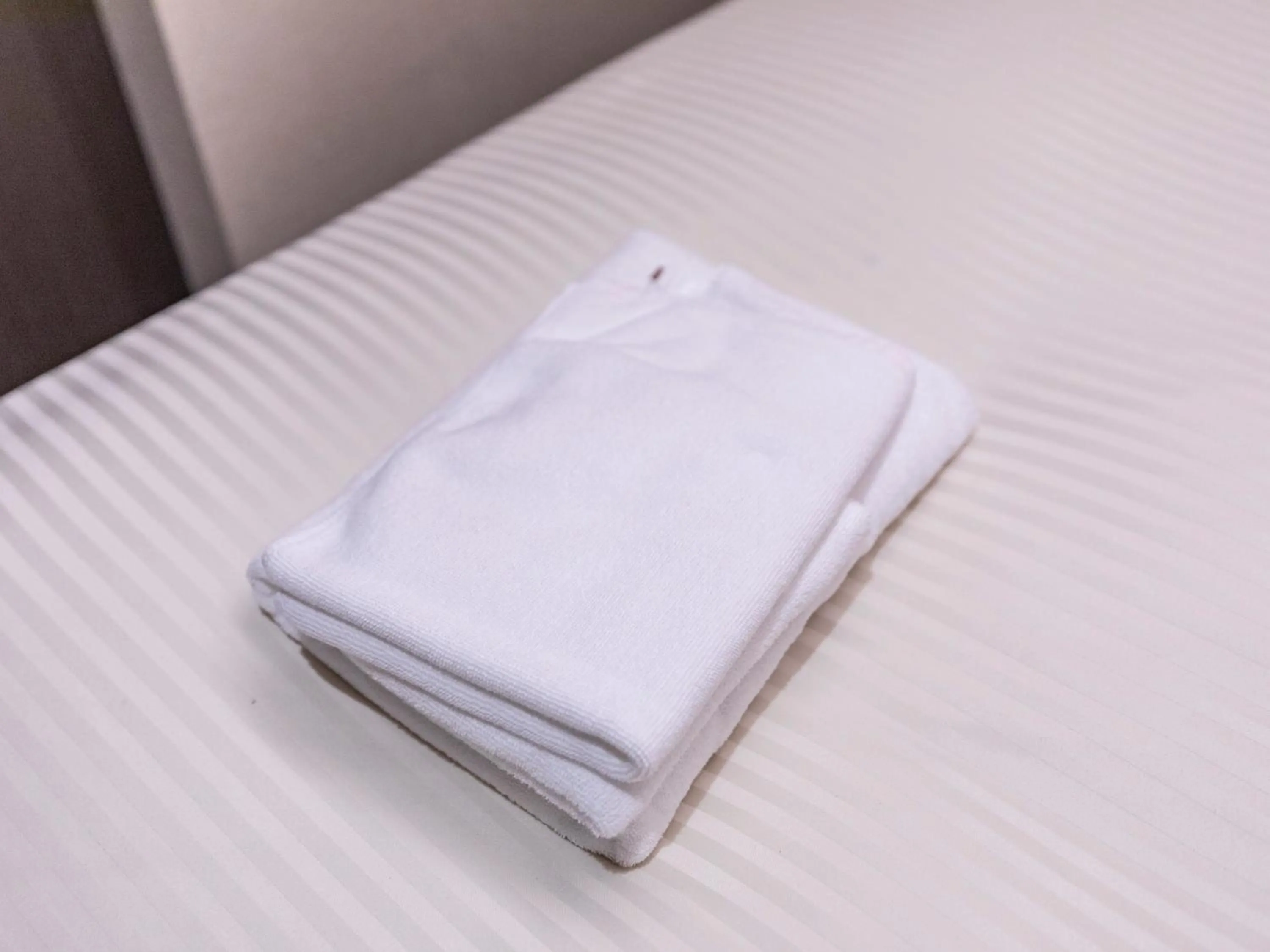 Photo of the whole room in Trust Hotel