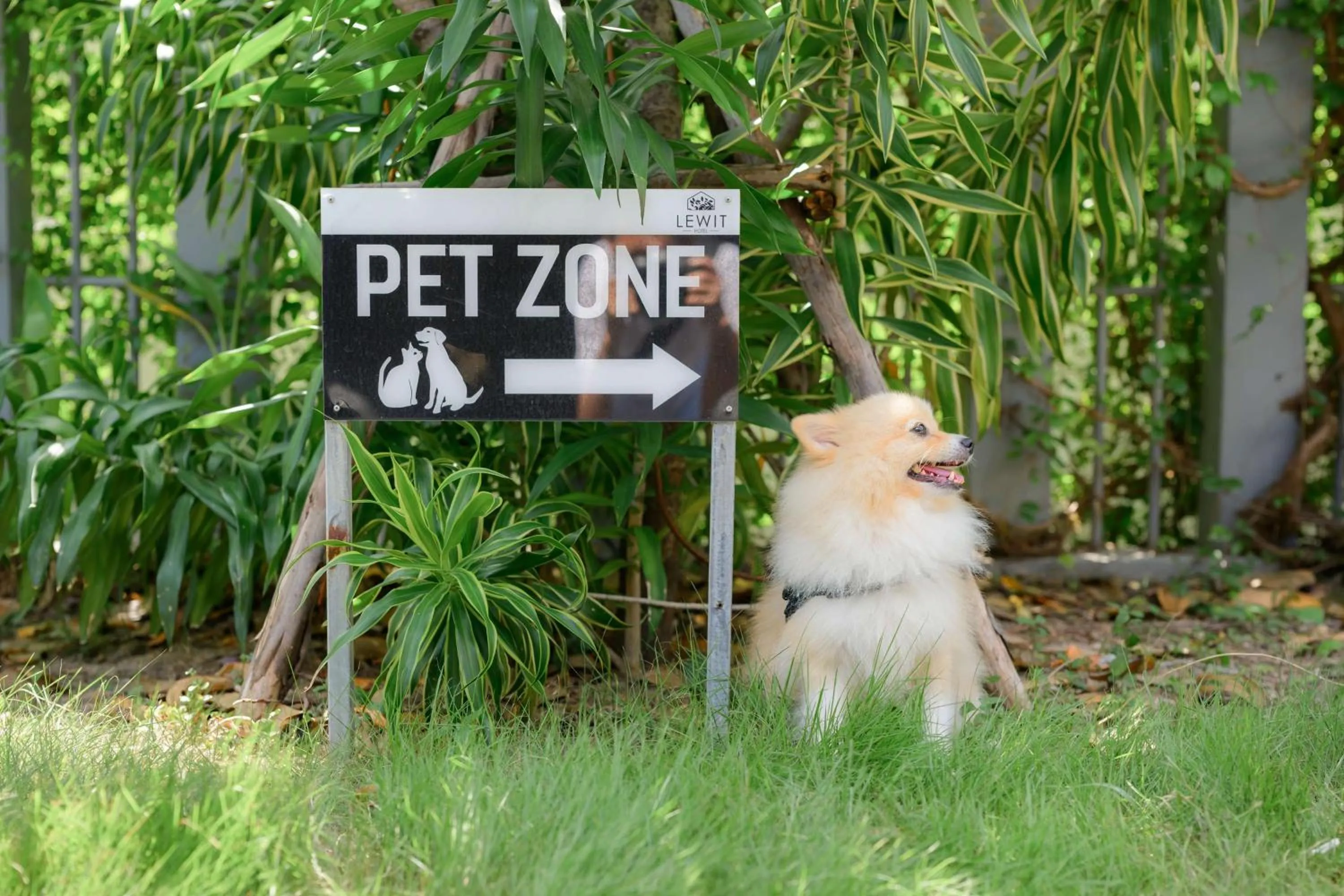 Sports in Lewit Hotel Pattaya, a member of Radisson Individuals