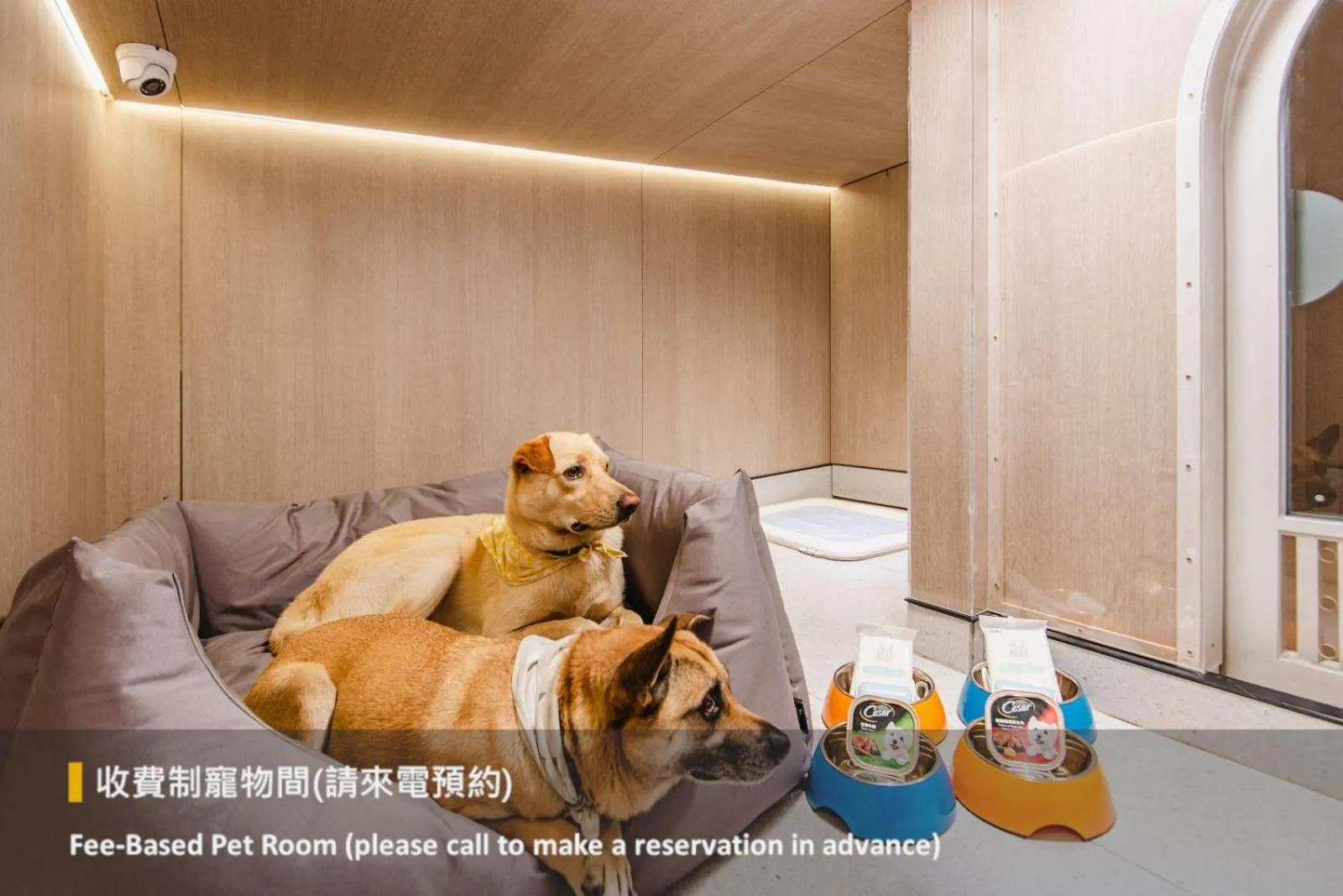 Pets in Lakeshore Hotel Hualien Taroko