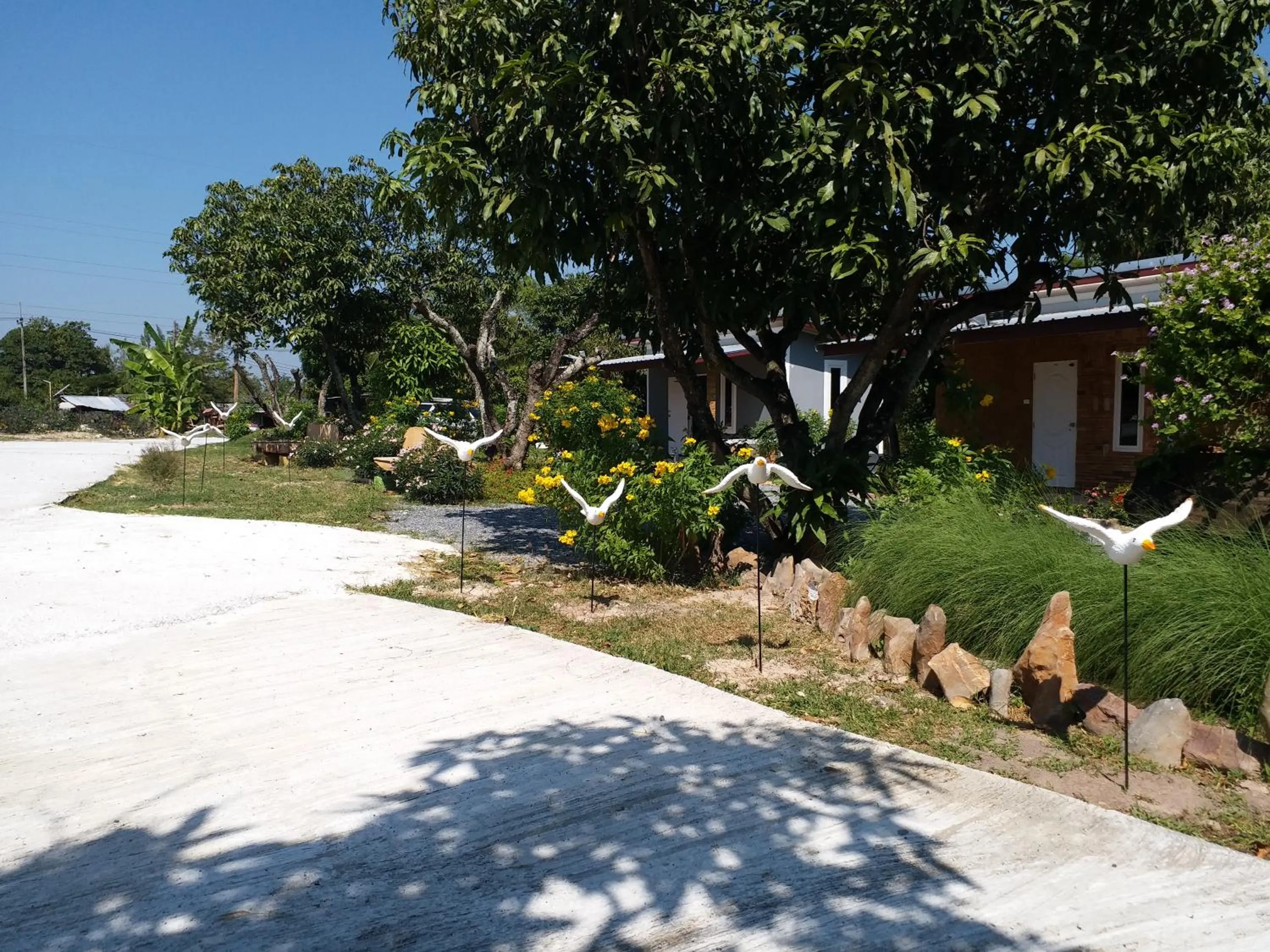 Garden in Baan Hin Sai Suay
