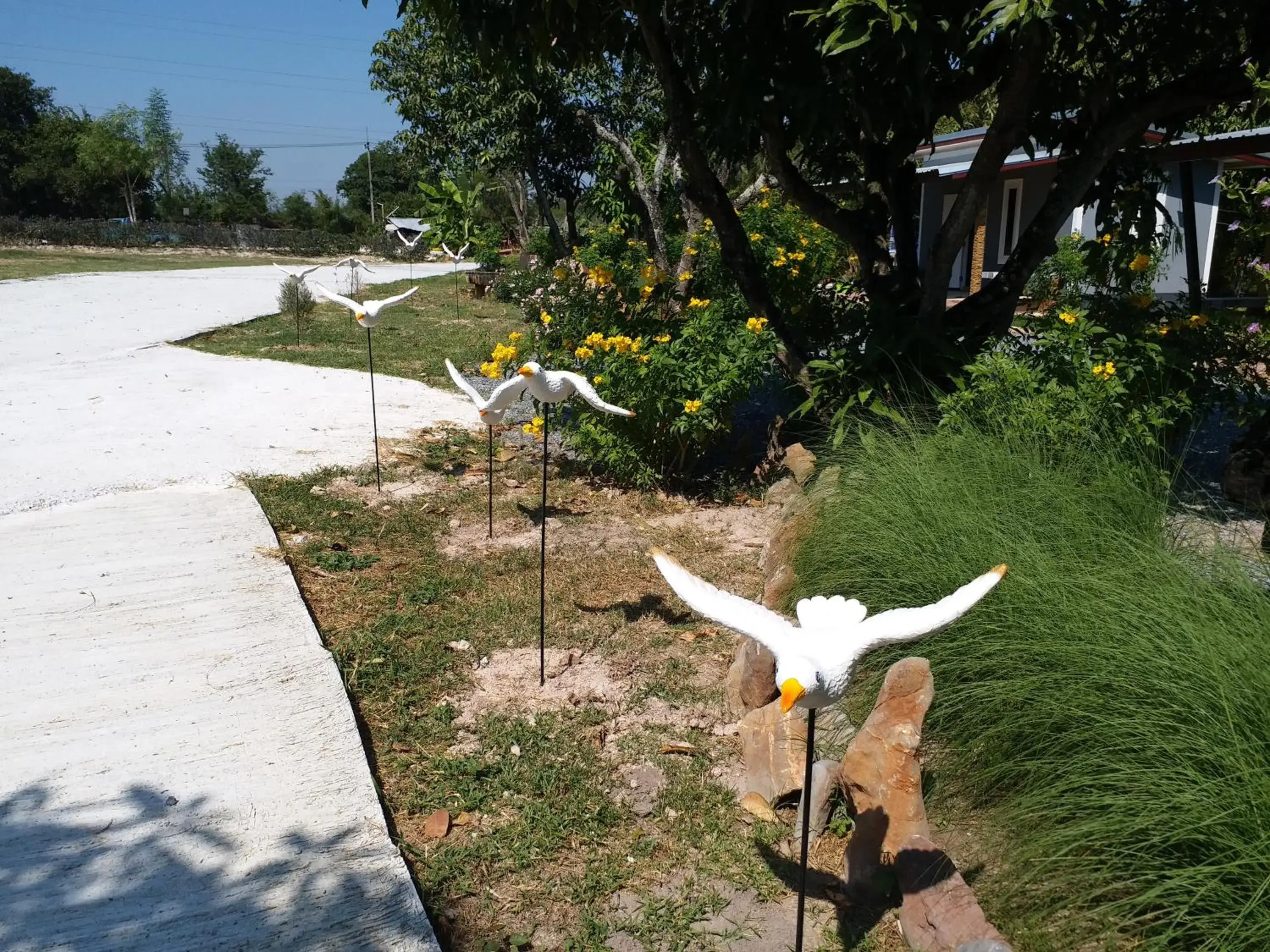 Garden in Baan Hin Sai Suay Garden in Baan Hin Sai Suay