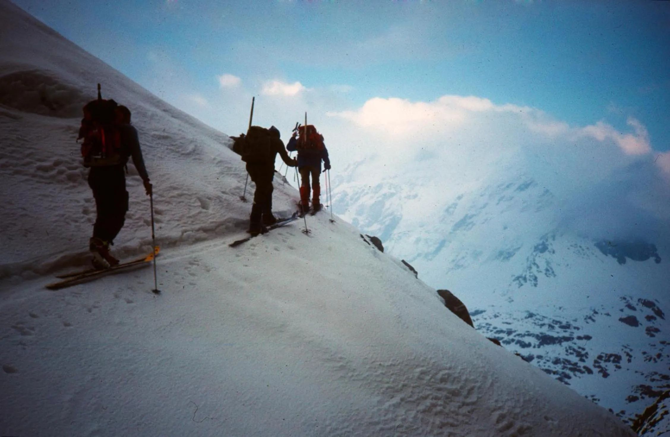 Natural landscape in Hotel Solaria