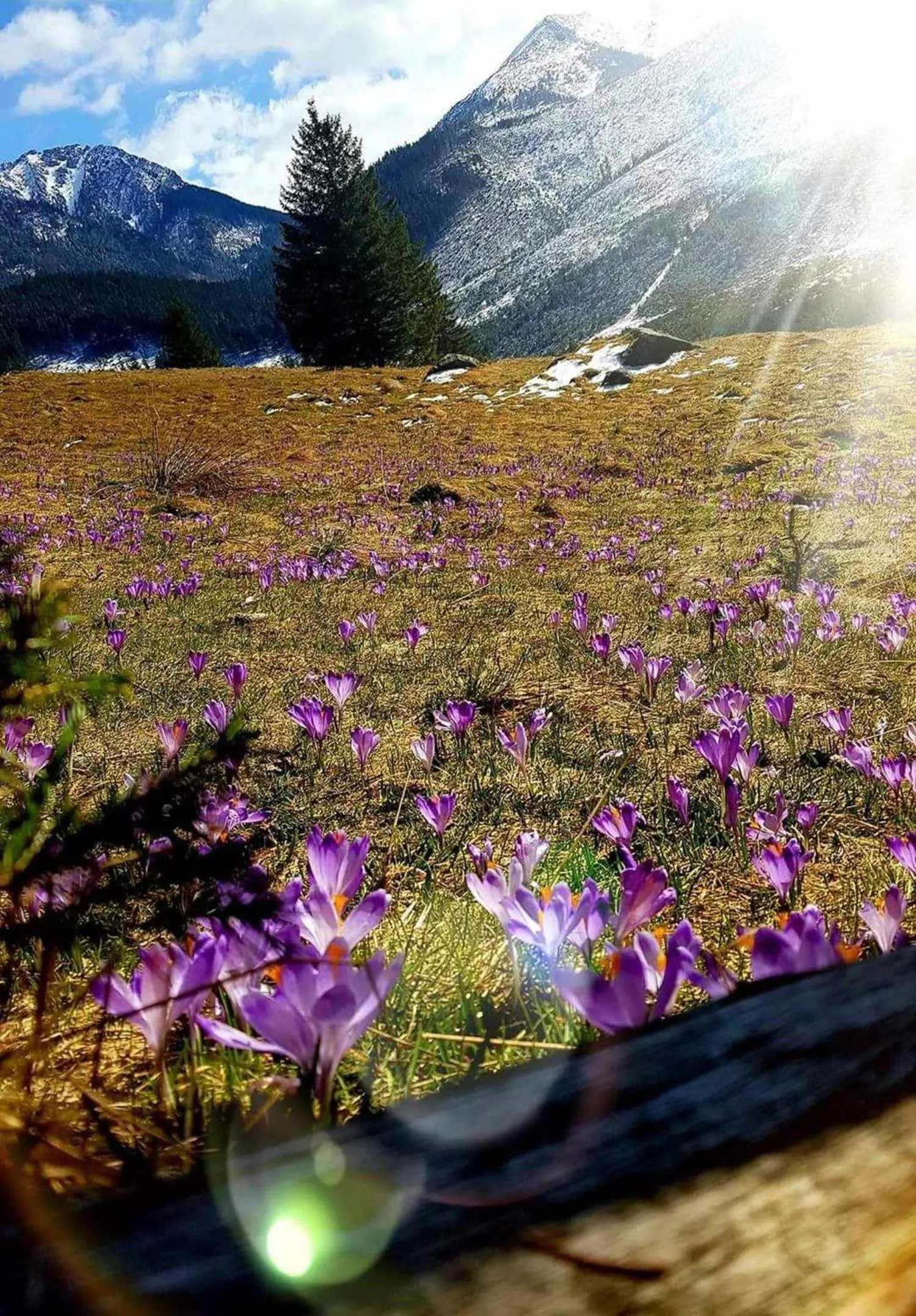 Nearby landmark in Willa Danielka