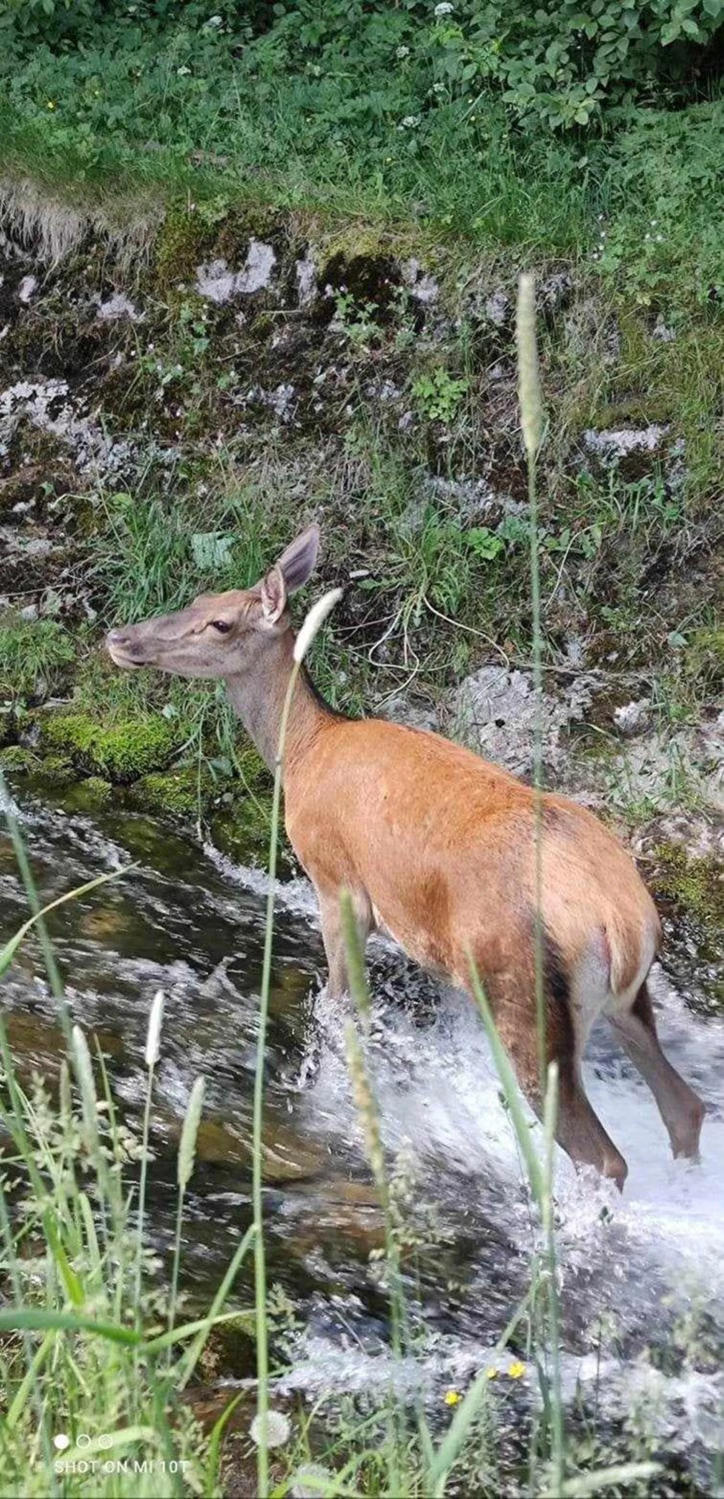 Nearby landmark in Willa Danielka